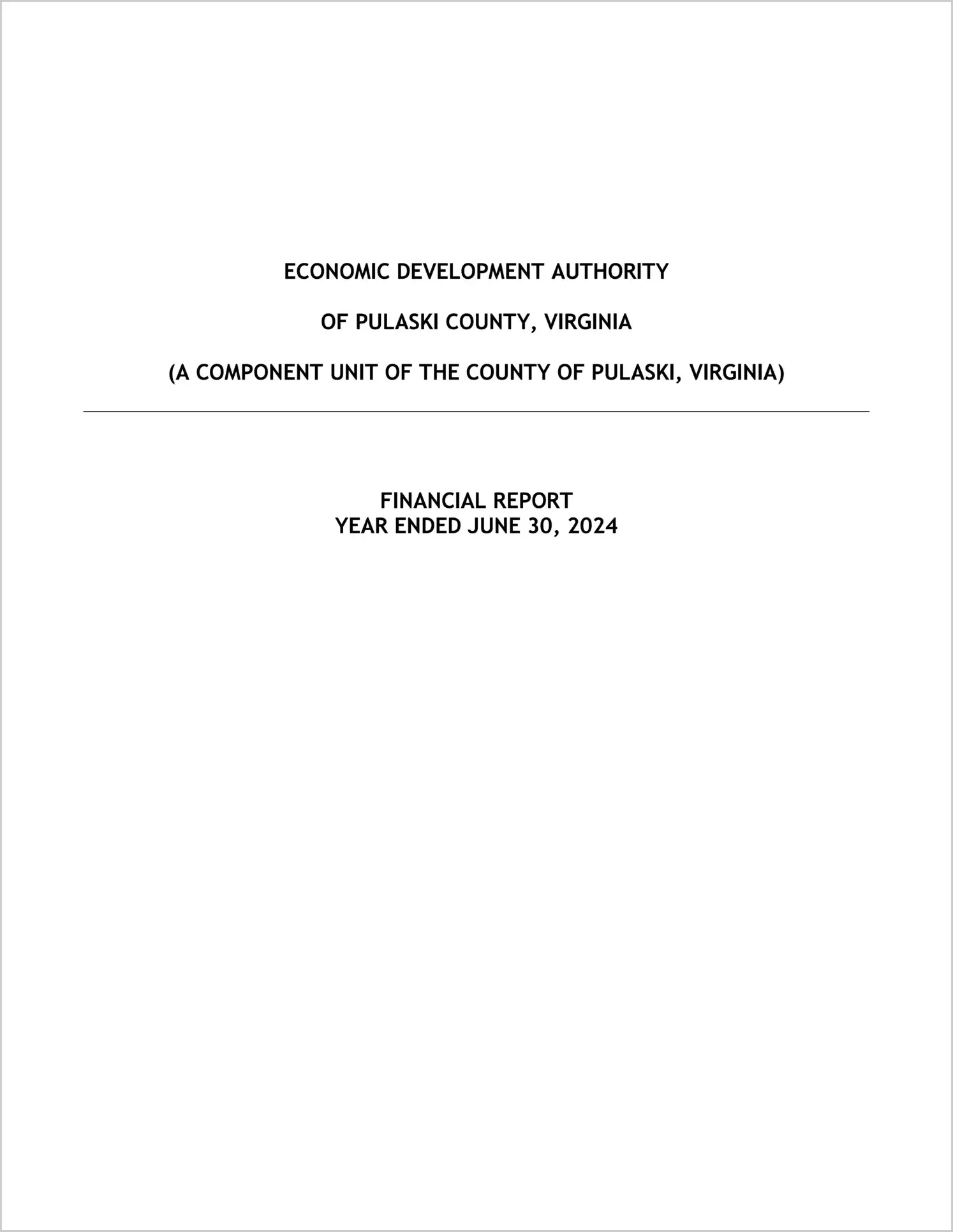 preview of 2024 ABC/Other Annual Financial Report for Pulaski County Economic Development Authority