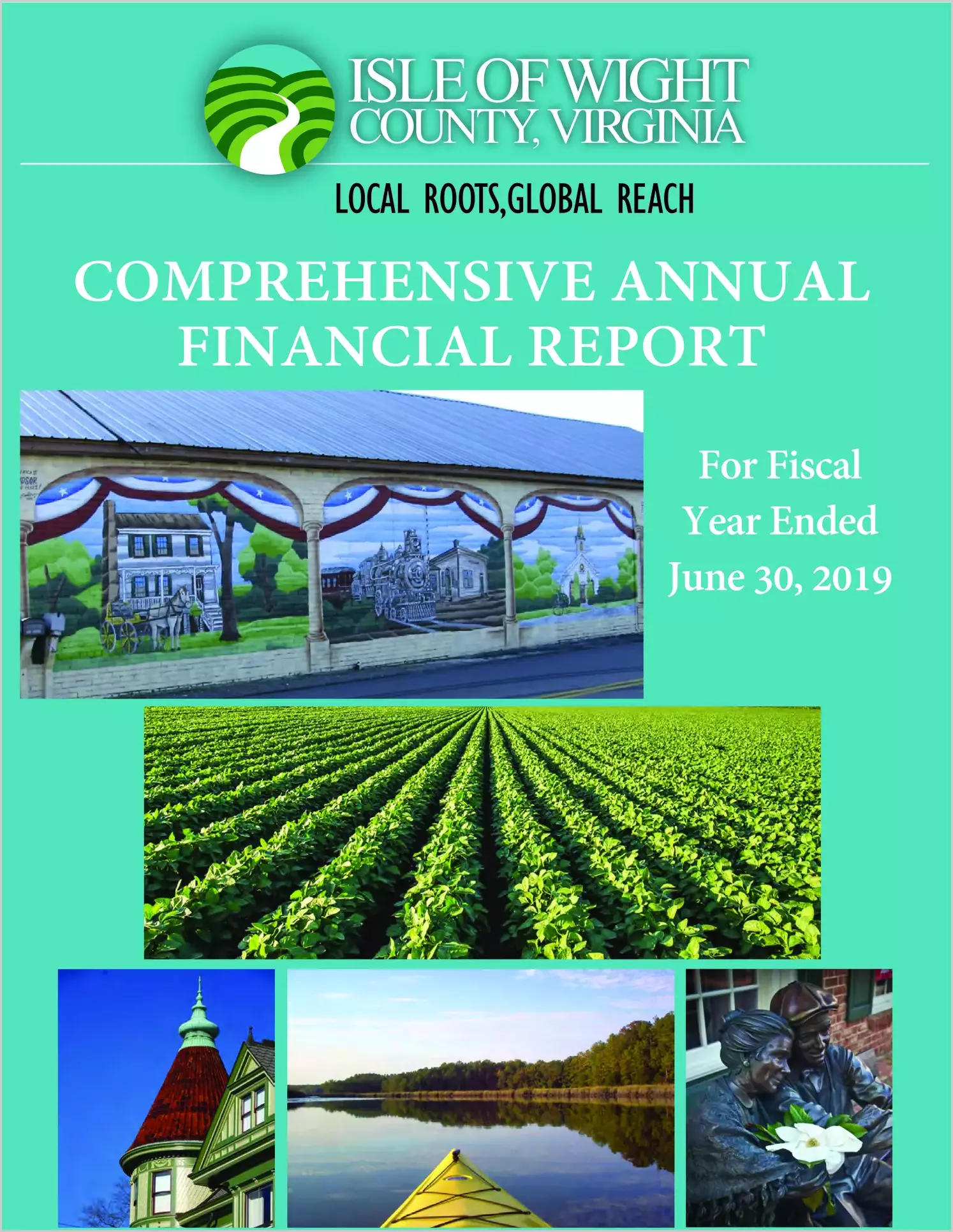 2019 Annual Financial Report for County of Isle of Wight