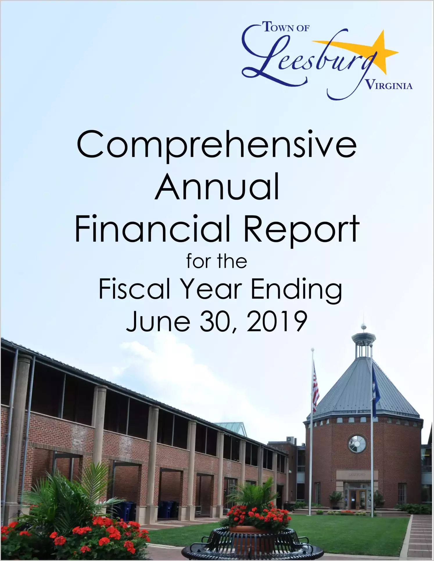 2019 Annual Financial Report for Town of Leesburg