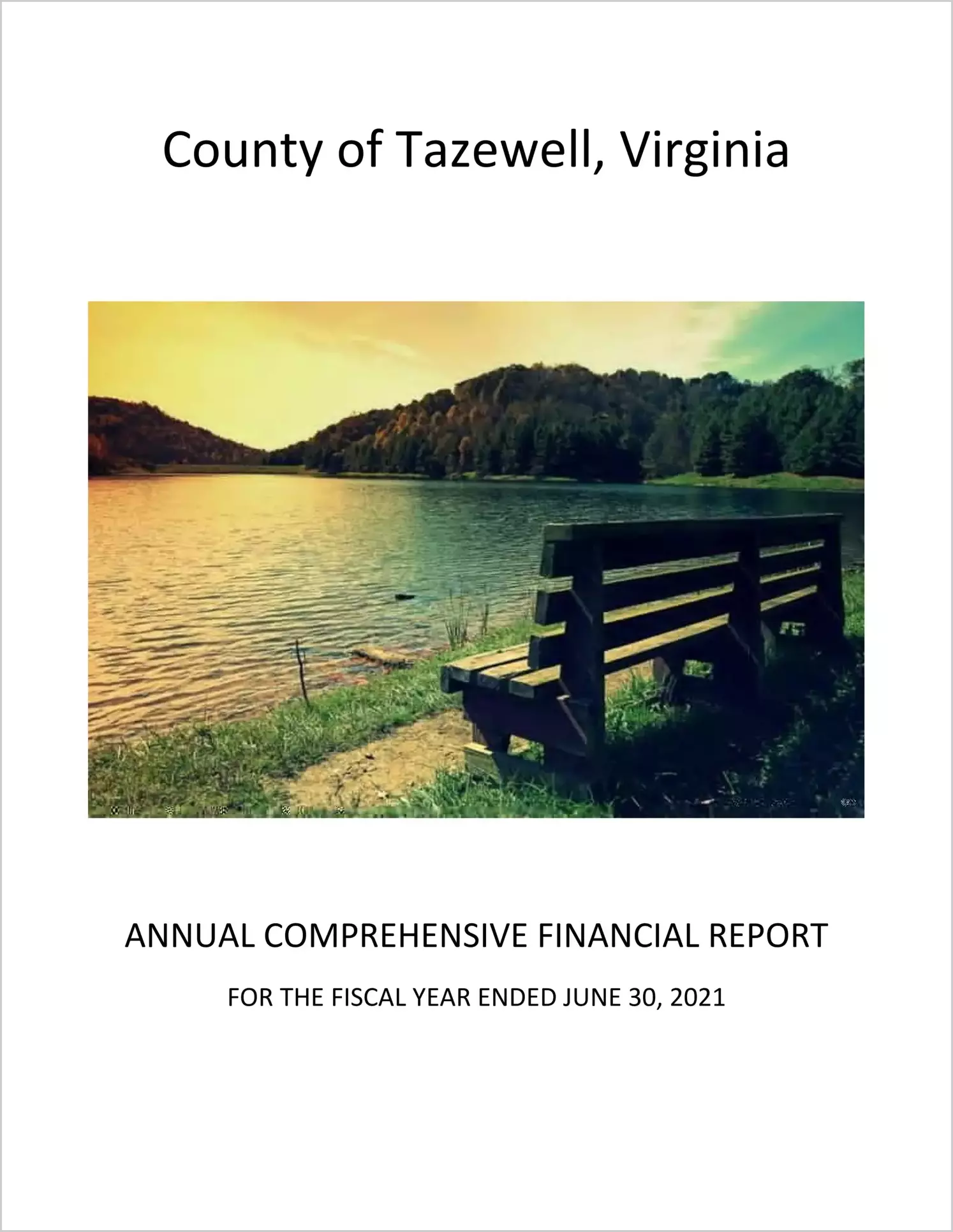 2021 Annual Financial Report for County of Tazewell