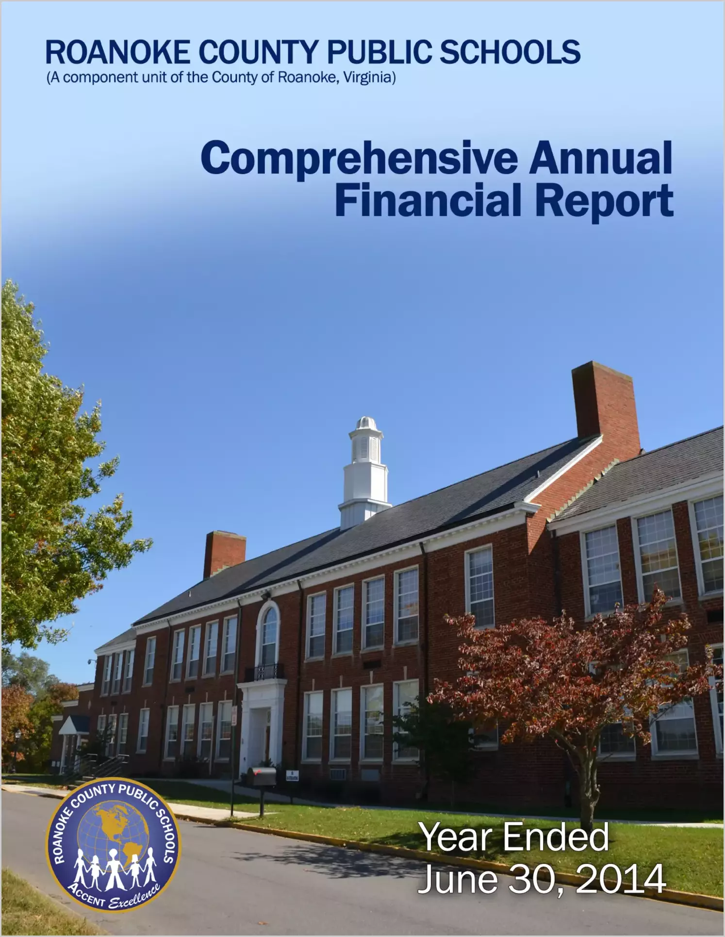 2014 Public Schools Annual Financial Report for County of Roanoke