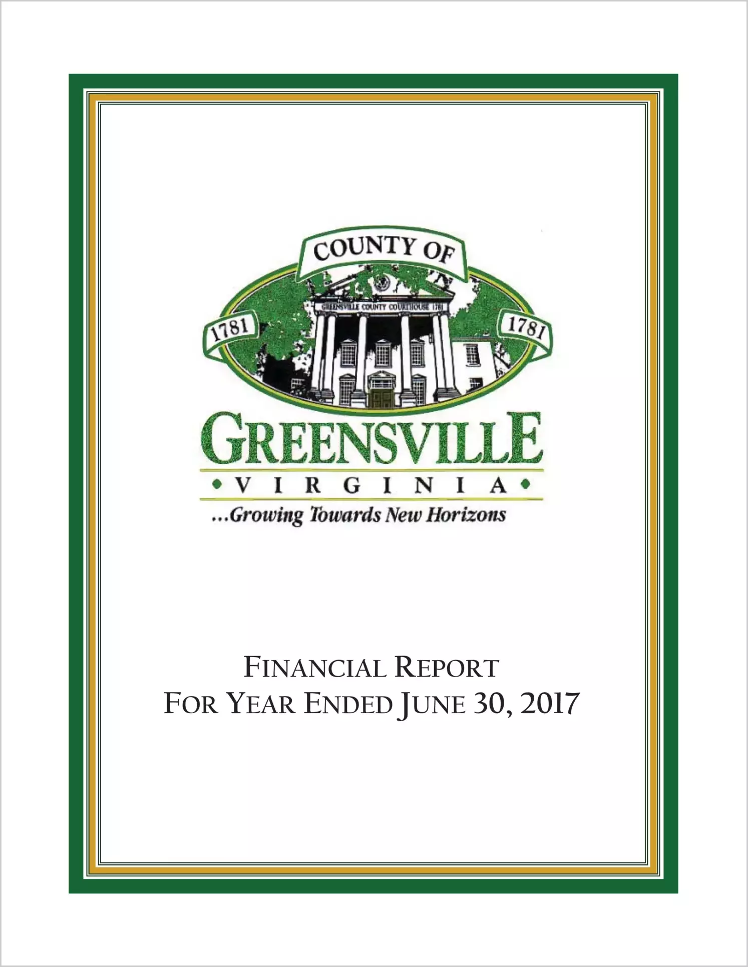 2017 Annual Financial Report for County of Greensville
