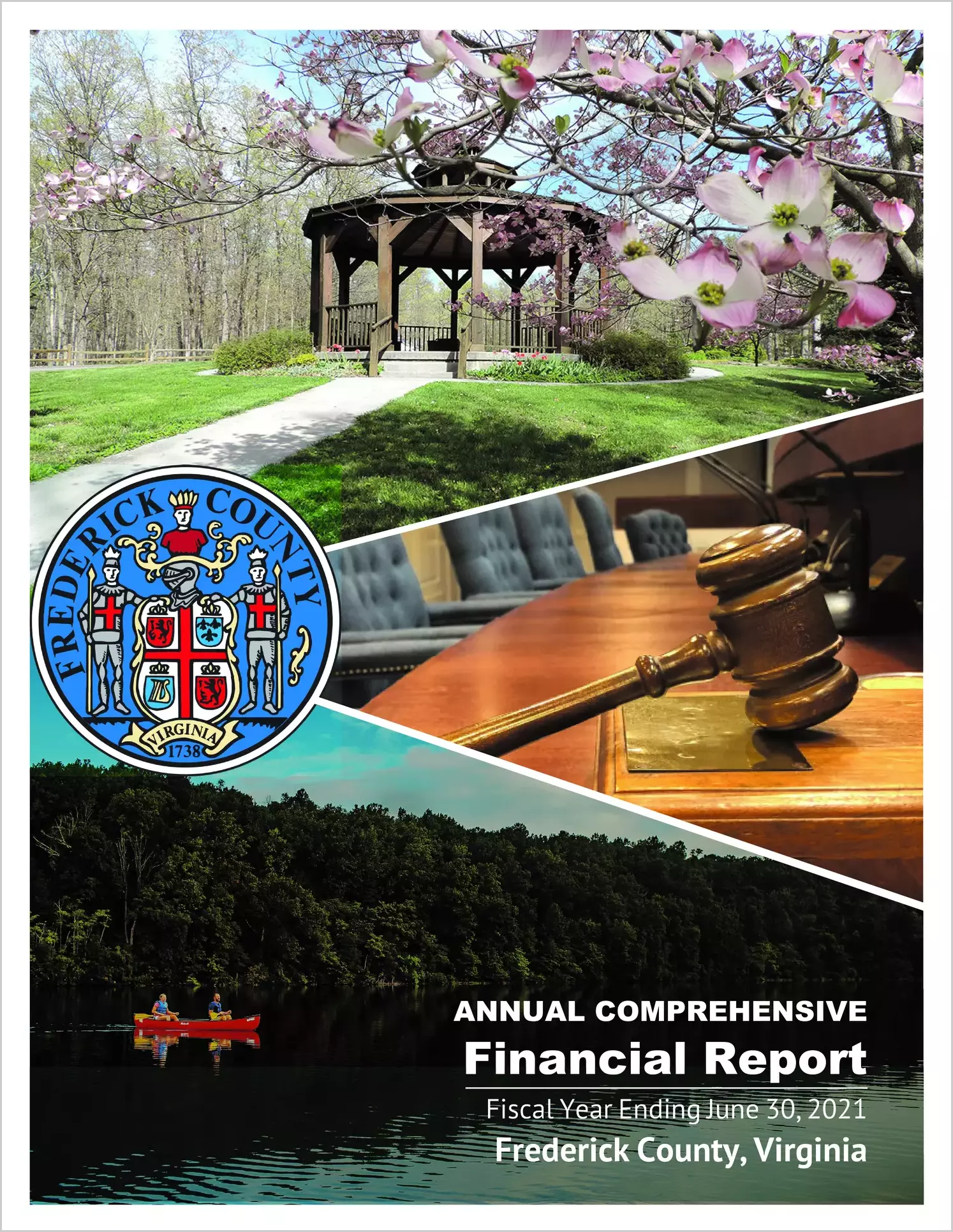 2021 Annual Financial Report for County of Frederick