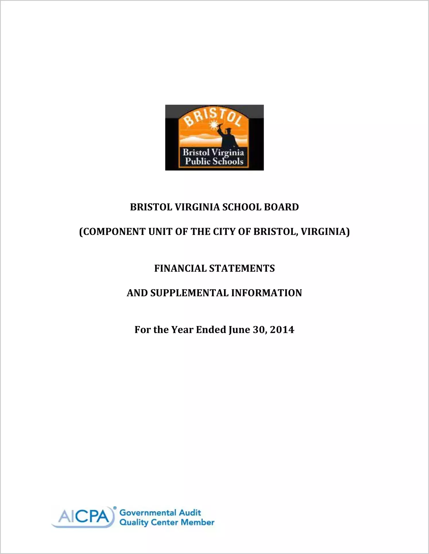 2014 Public Schools Annual Financial Report for City of Bristol
