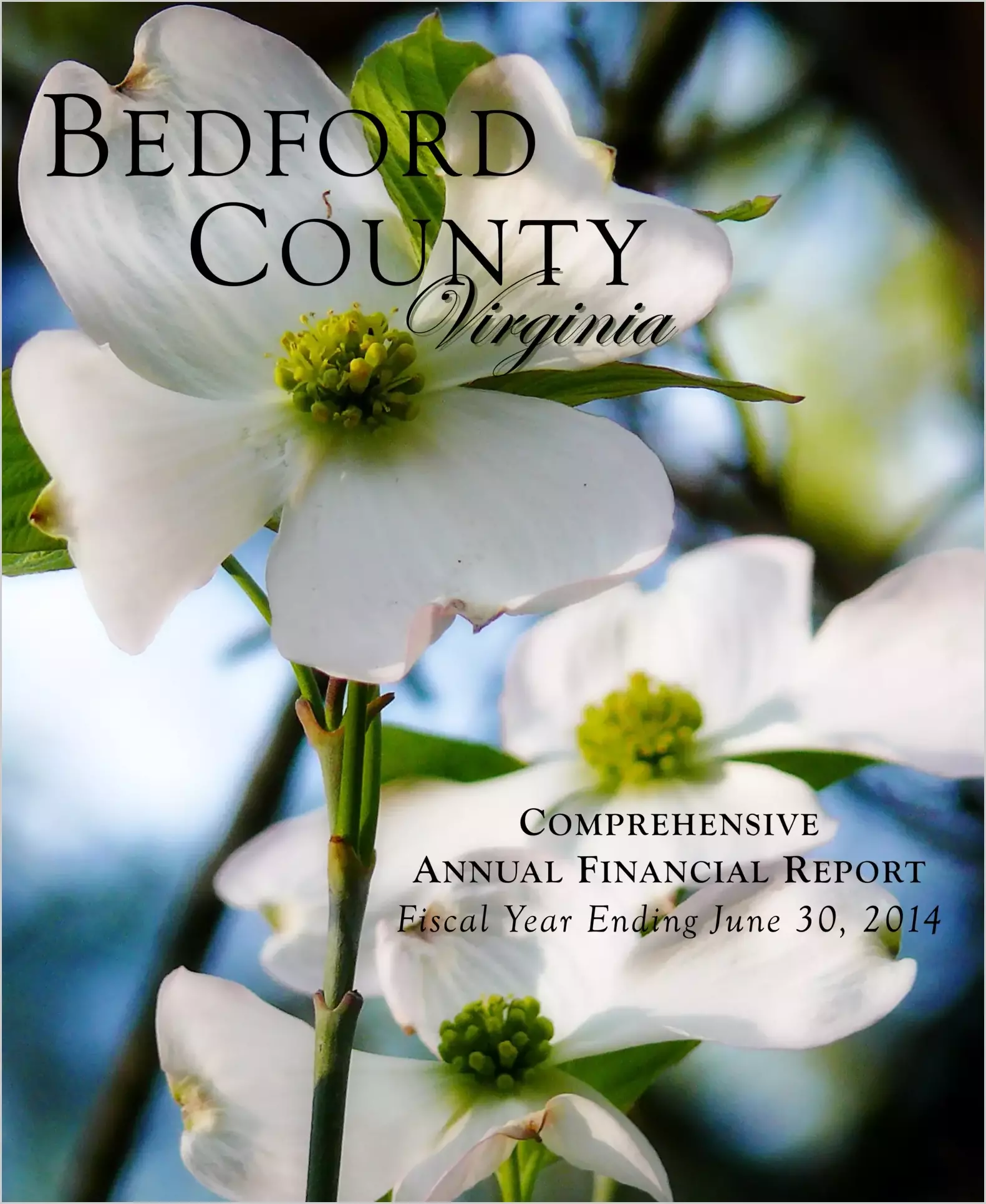 2014 Annual Financial Report for County of Bedford