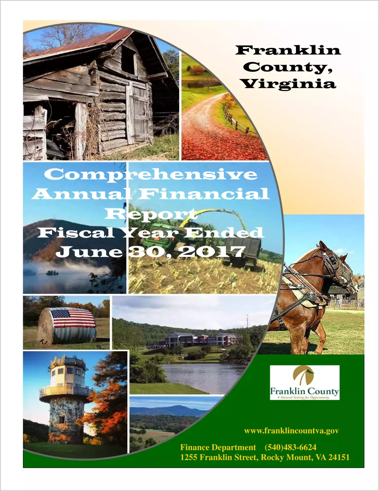 2017 Annual Financial Report for County of Franklin