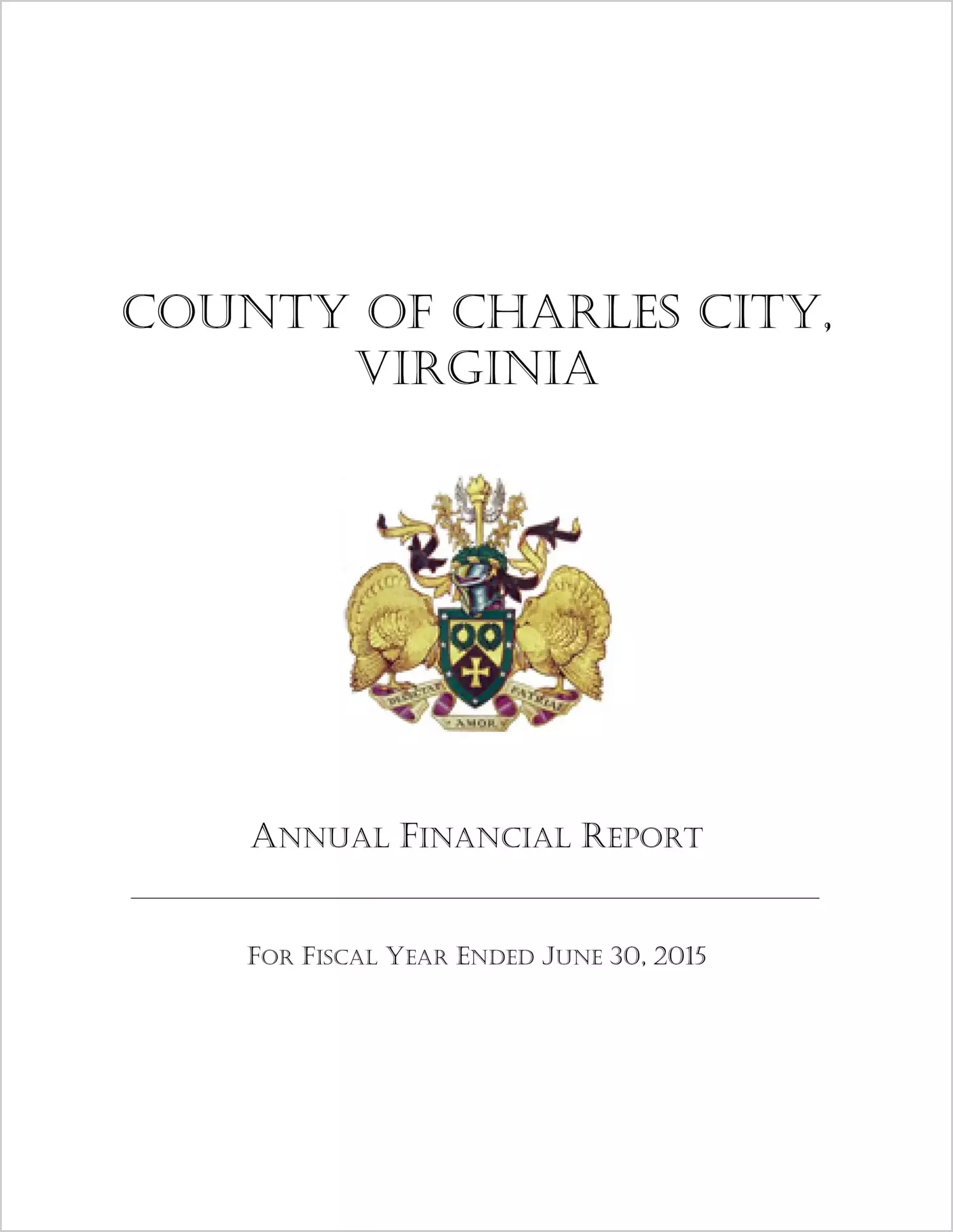 2015 Annual Financial Report for County of Charles City