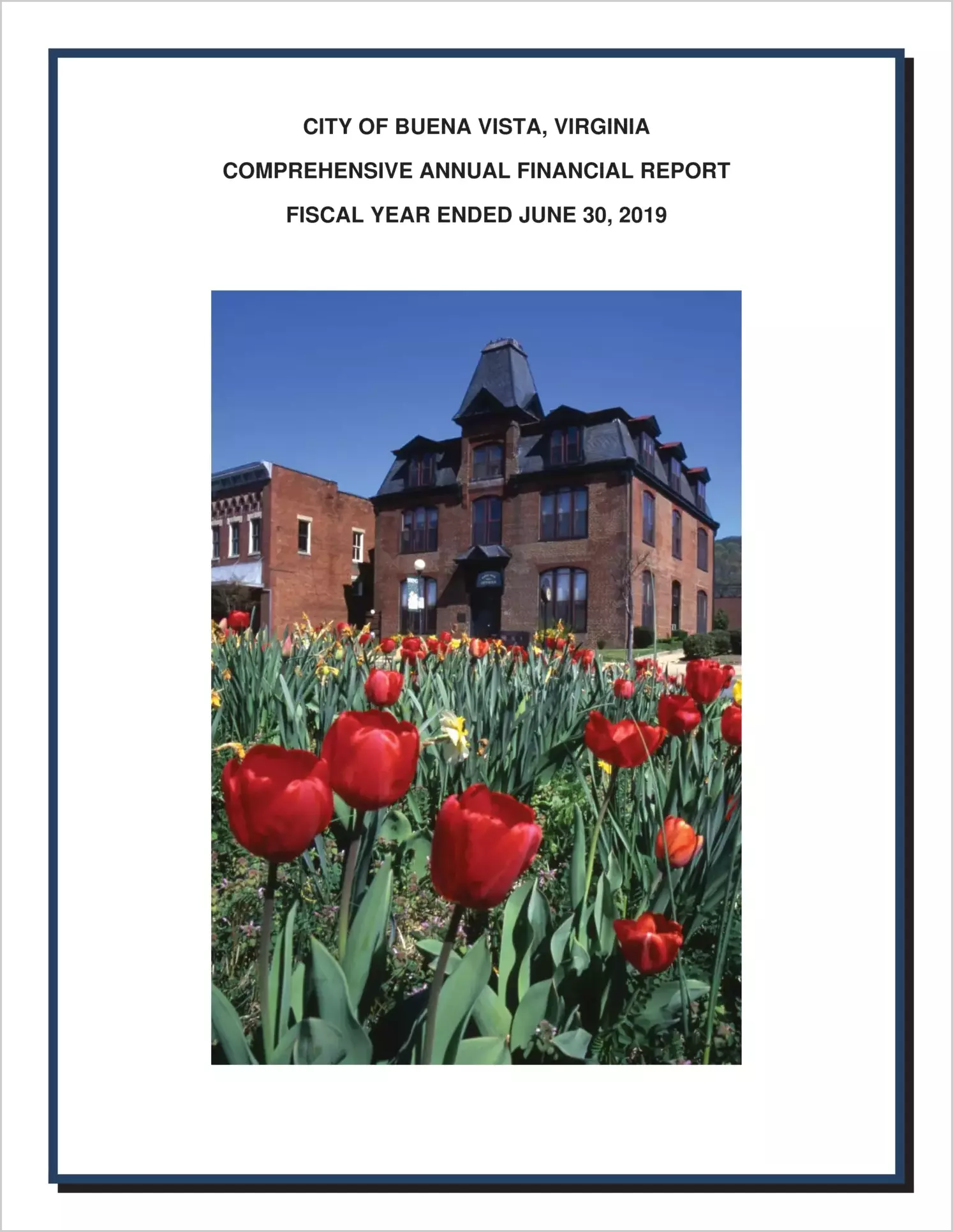 2019 Annual Financial Report for City of Buena Vista