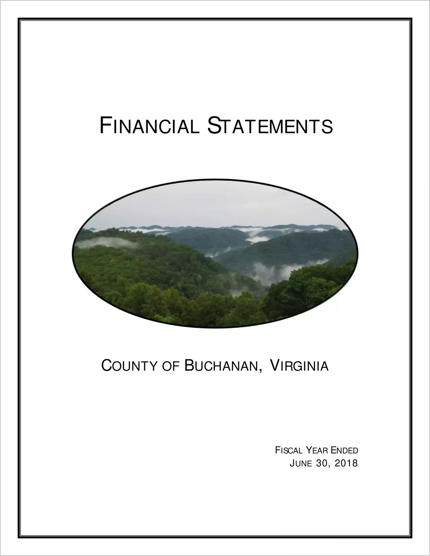 2018 Annual Financial Report for County of Buchanan