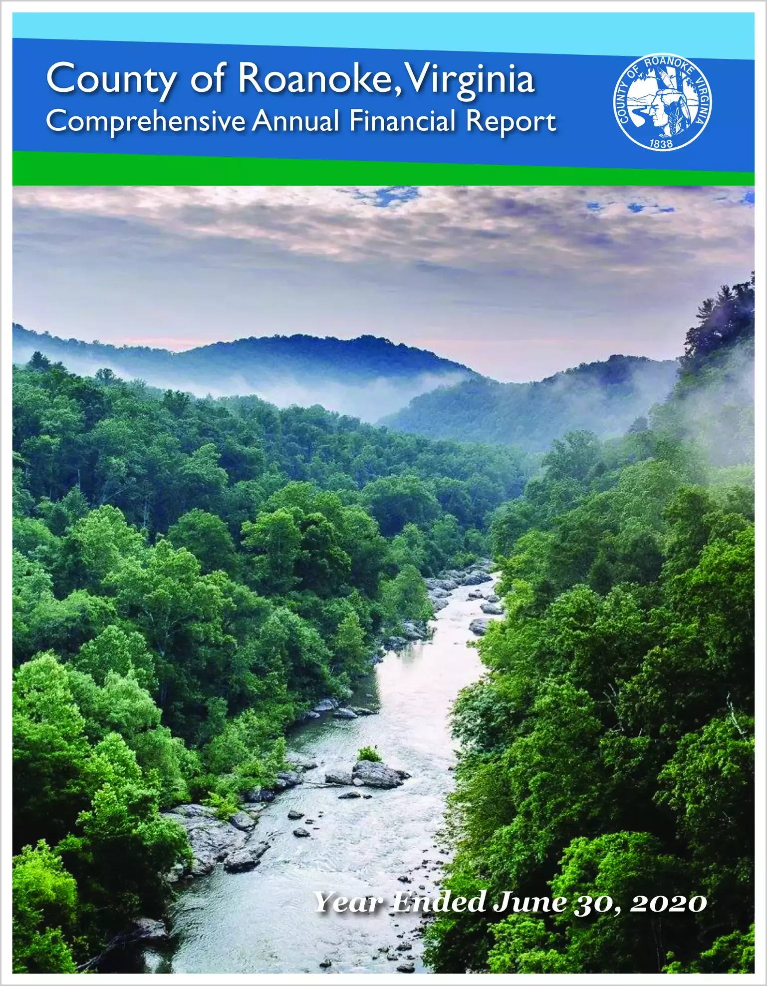 2020 Annual Financial Report for County of Roanoke