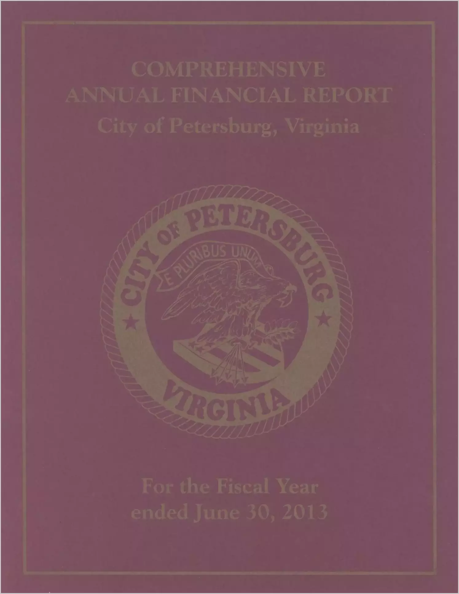 2013 Annual Financial Report for City of Petersburg