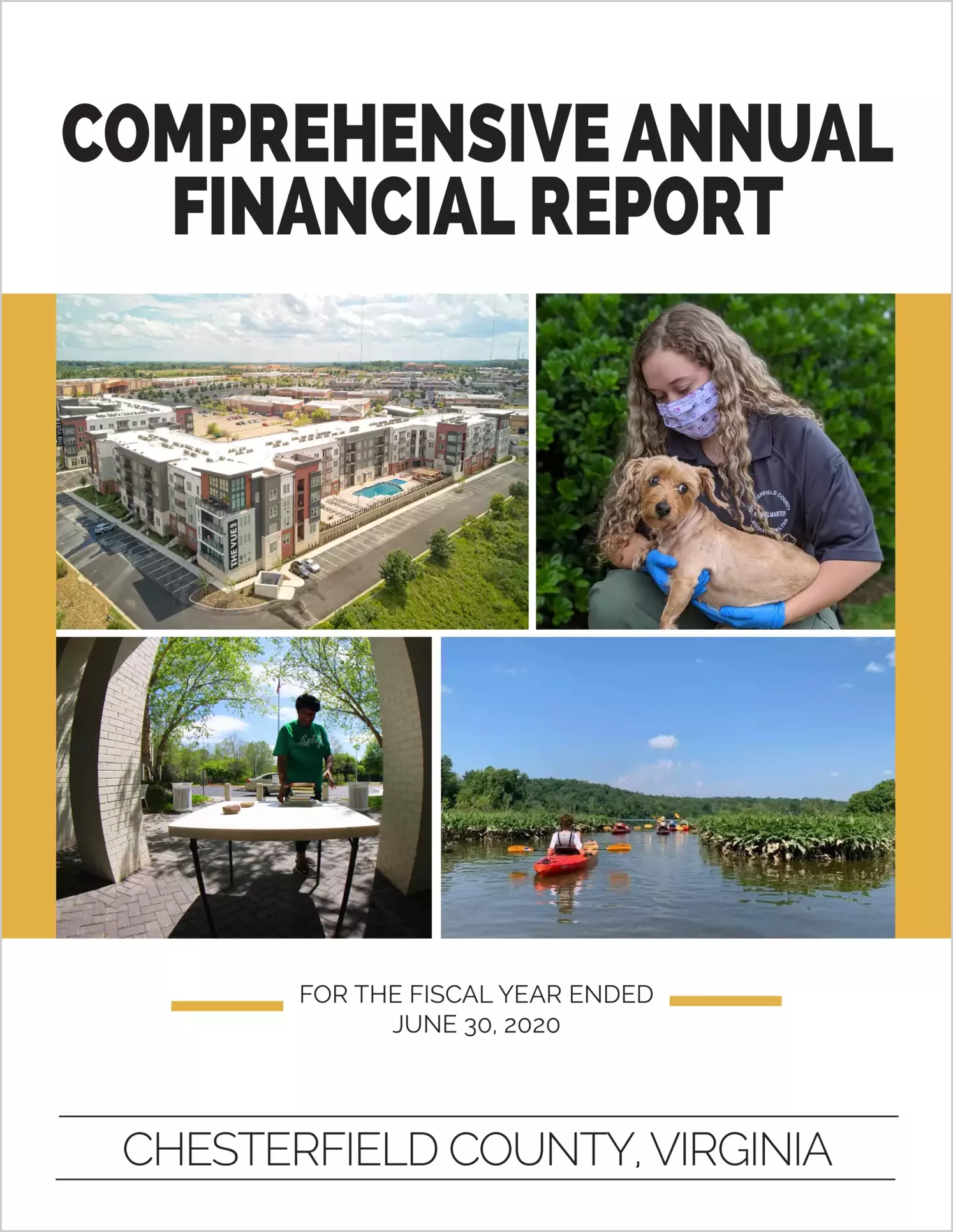 2020 Annual Financial Report for County of Chesterfield
