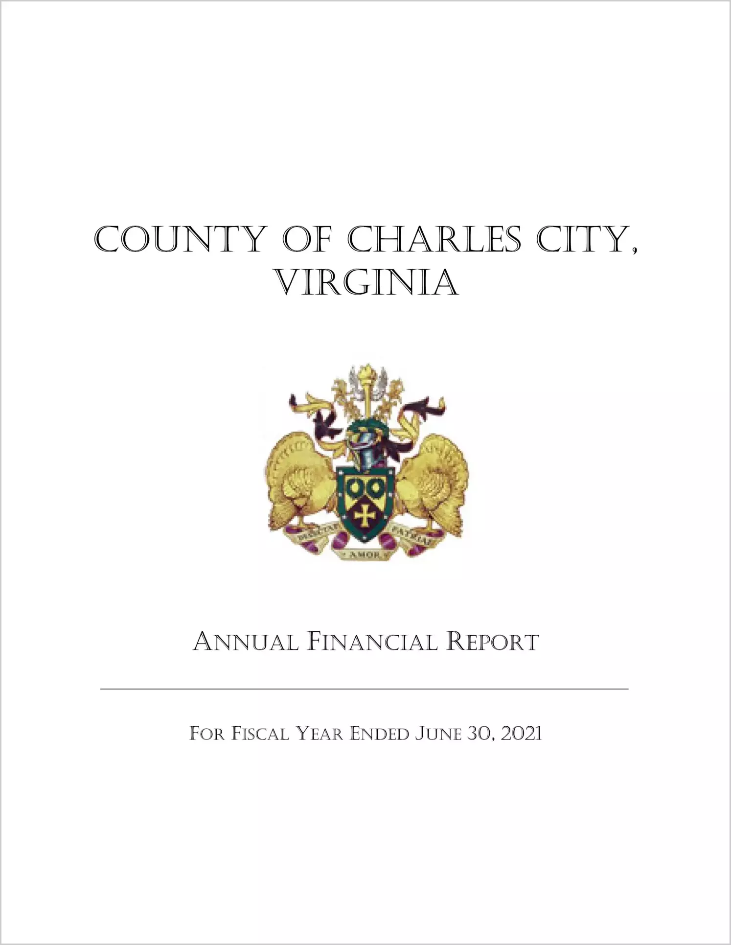 2021 Annual Financial Report for County of Charles City