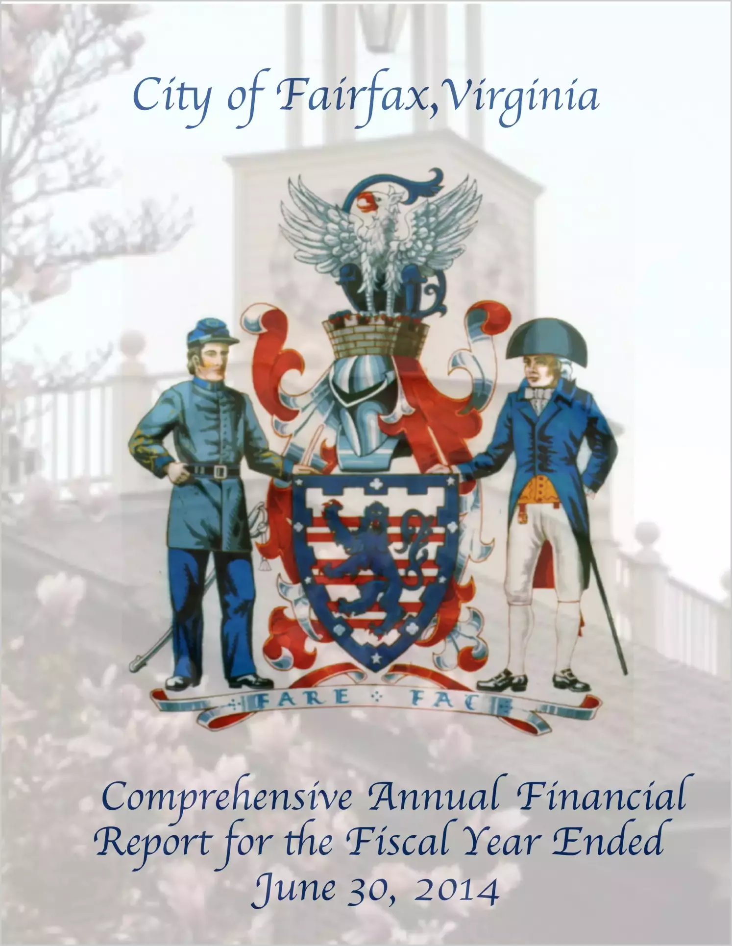 2014 Annual Financial Report for City of Fairfax
