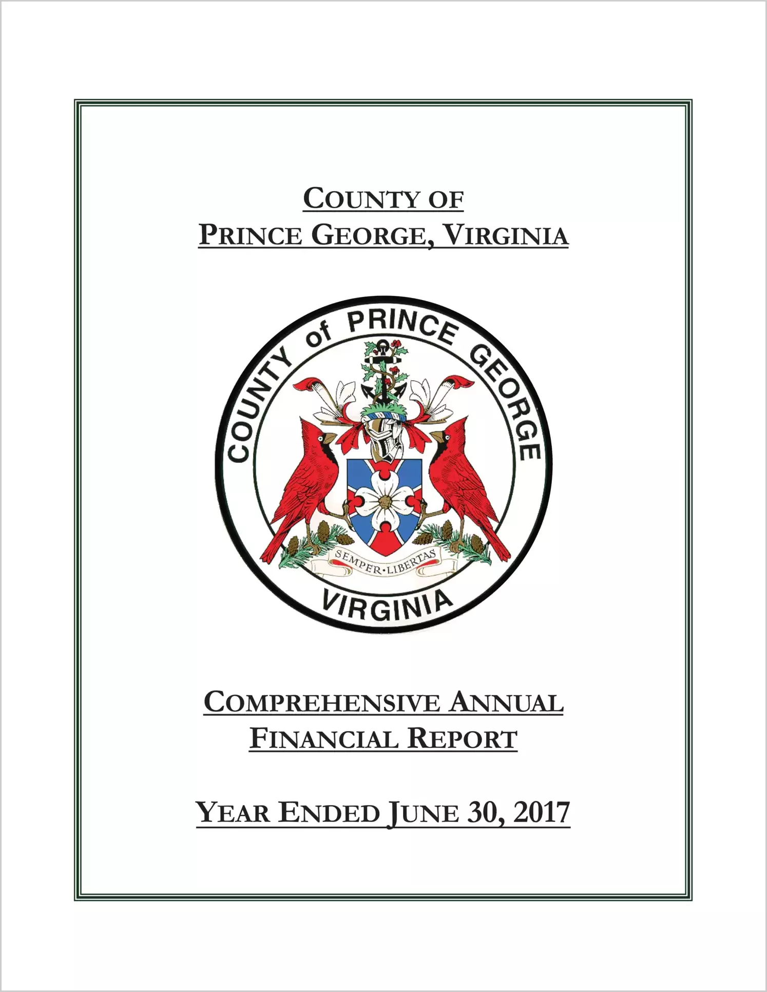 2017 Annual Financial Report for County of Prince George