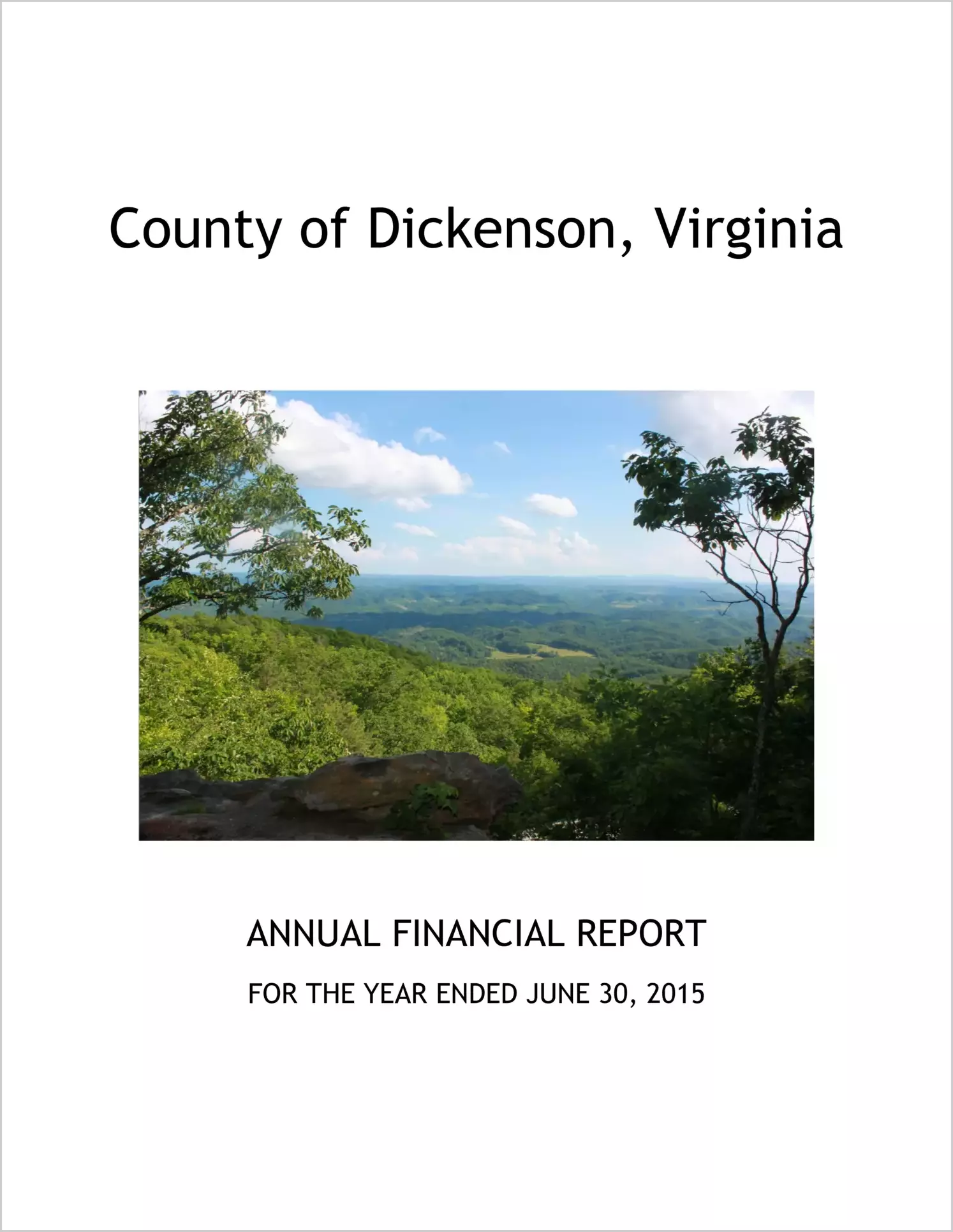 2015 Annual Financial Report for County of Dickenson
