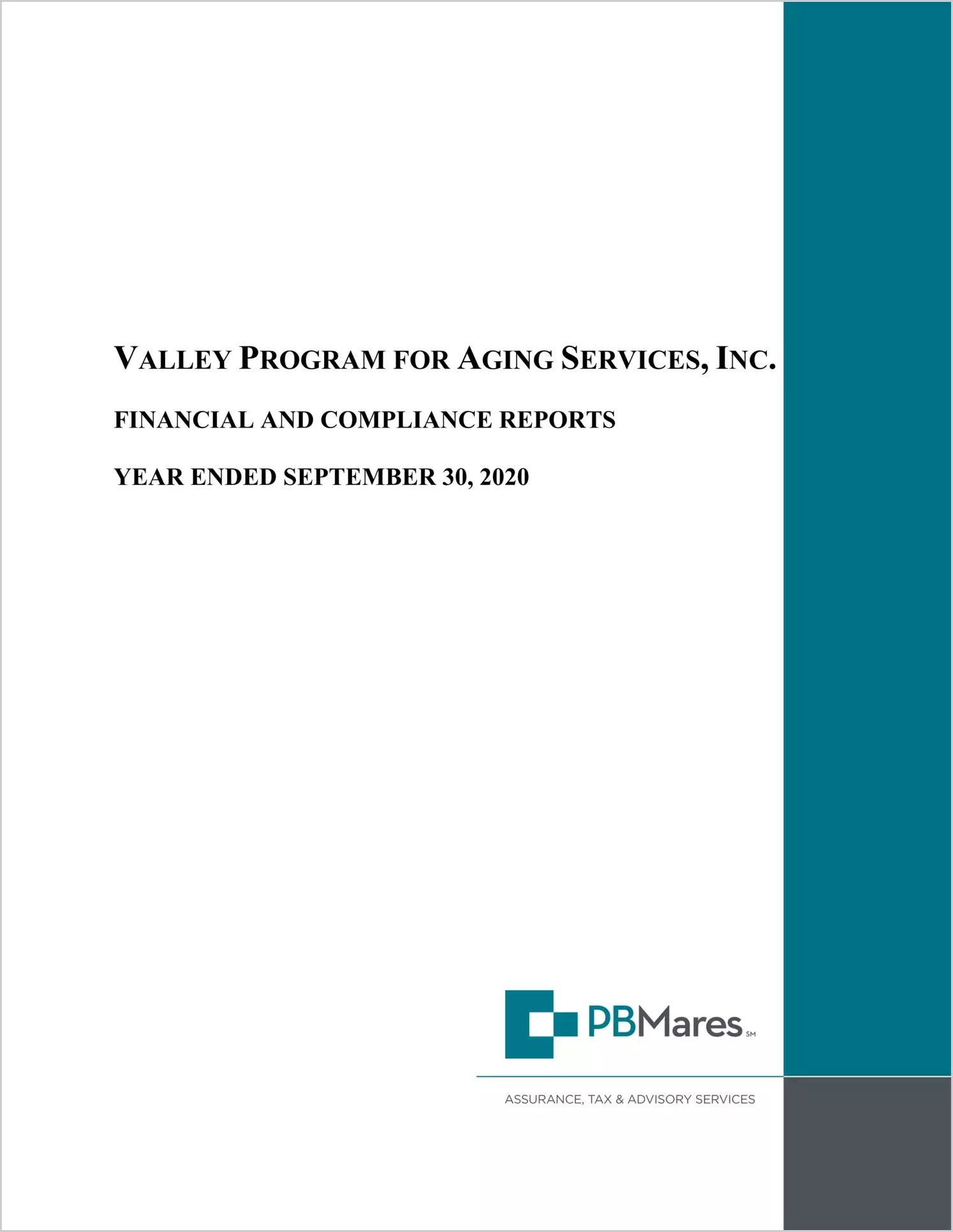 preview of 2020 ABC/Other Annual Financial Report for Valley Program for Aging Services