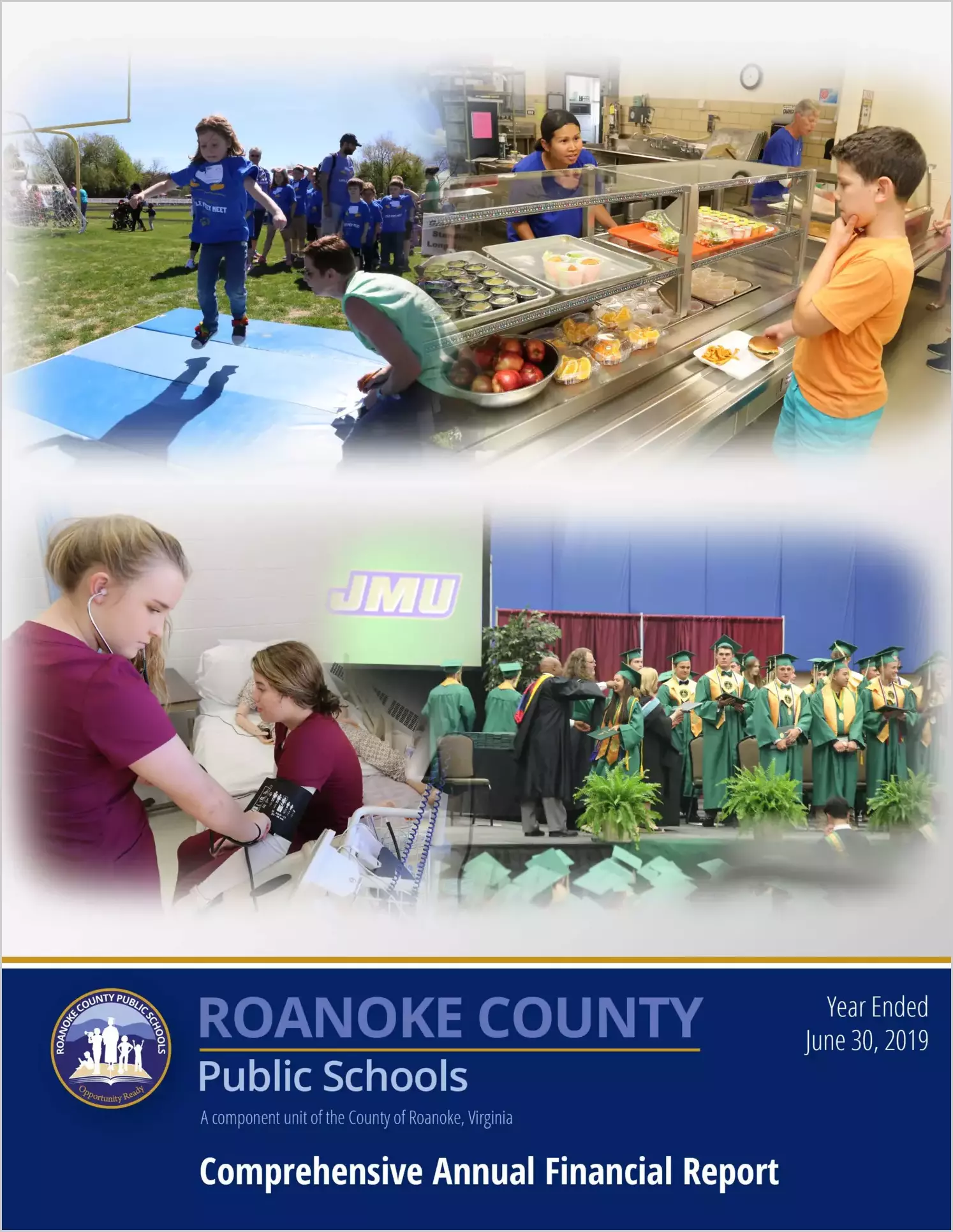 2019 Public Schools Annual Financial Report for County of Roanoke