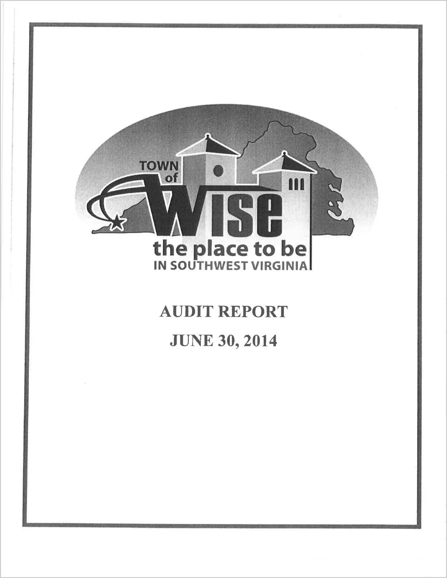 2014 Annual Financial Report for Town of Wise