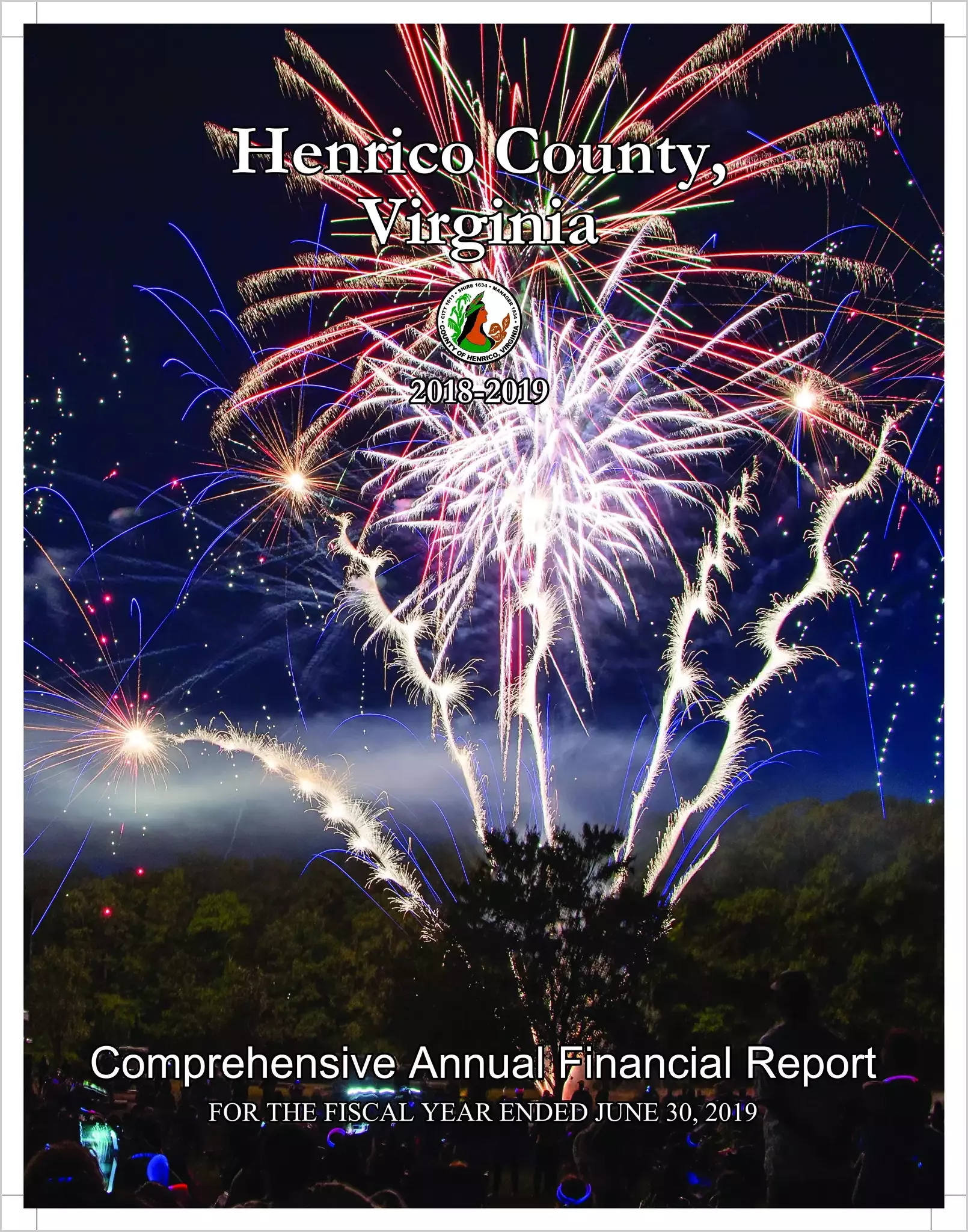 2019 Annual Financial Report for County of Henrico