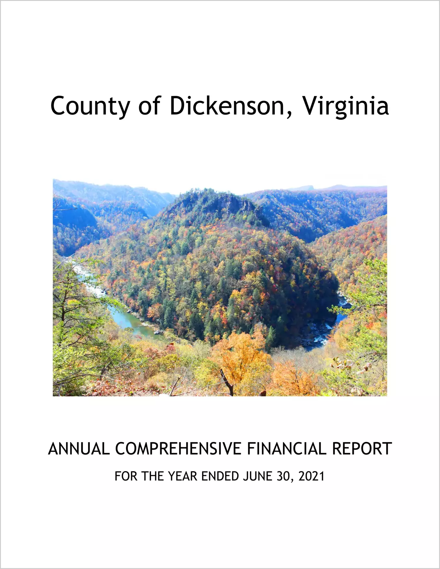 2021 Annual Financial Report for County of Dickenson