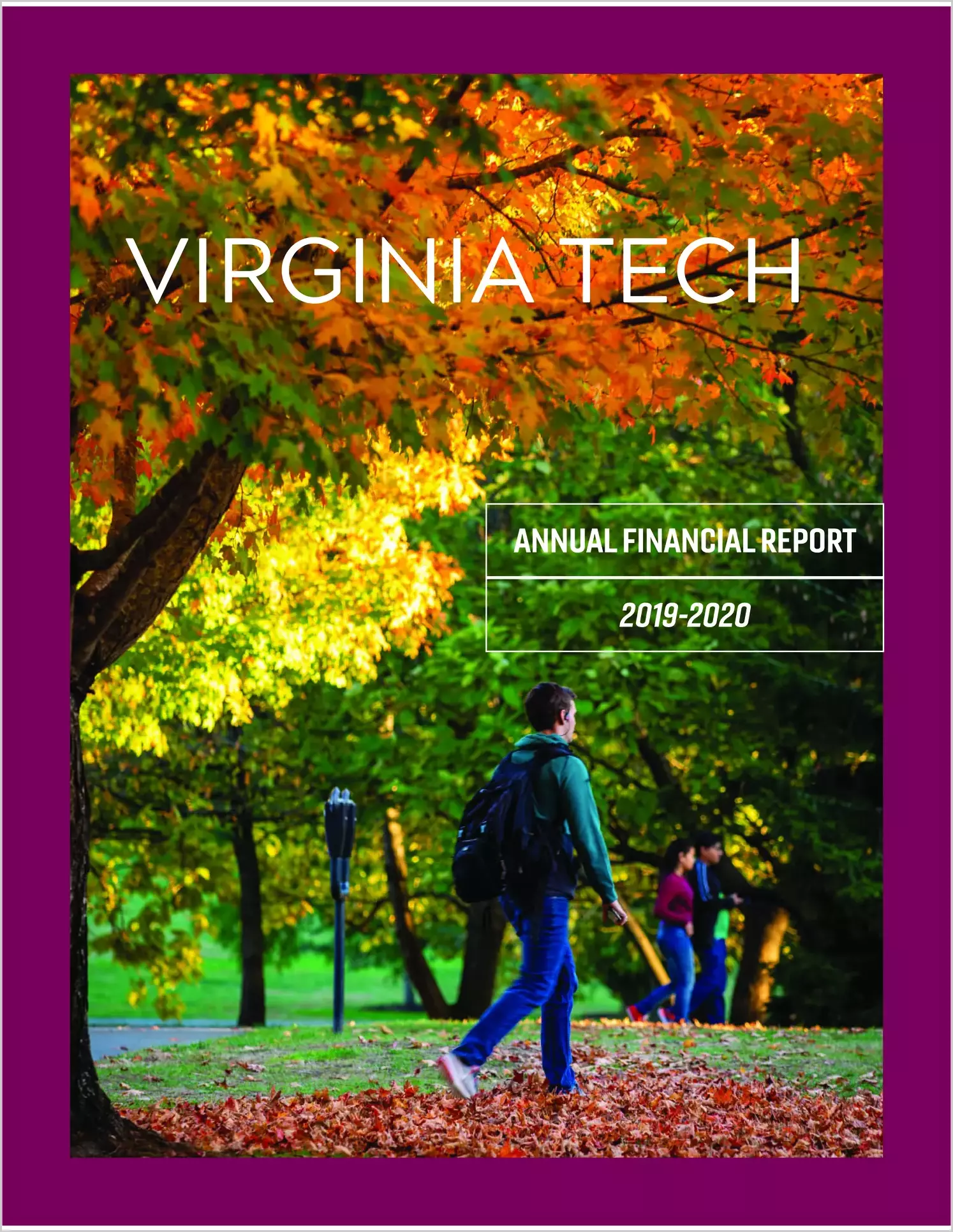 Virginia Polytechnic Institute and State University Financial Statements for the year ended June 30, 2020