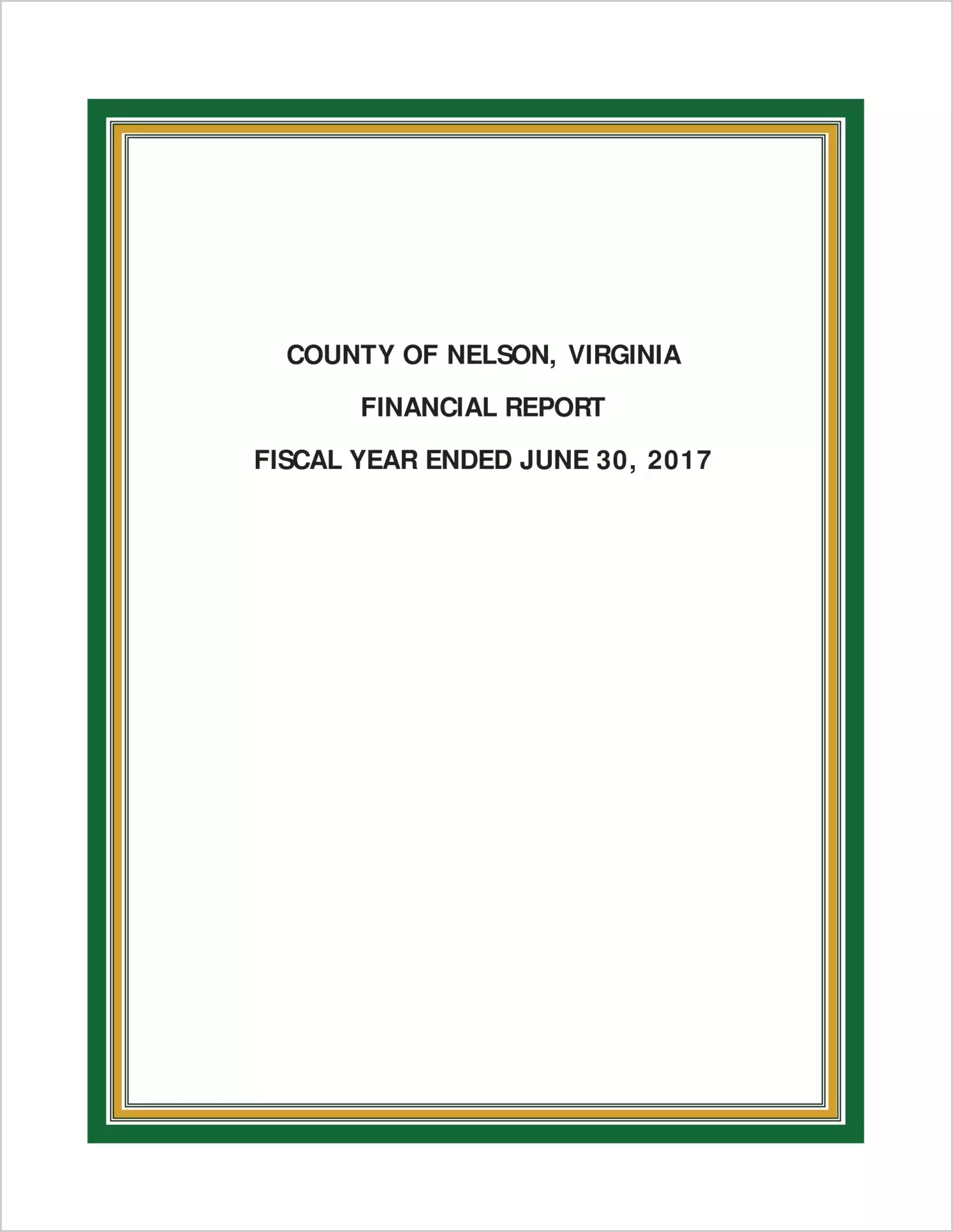 2017 Annual Financial Report for County of Nelson