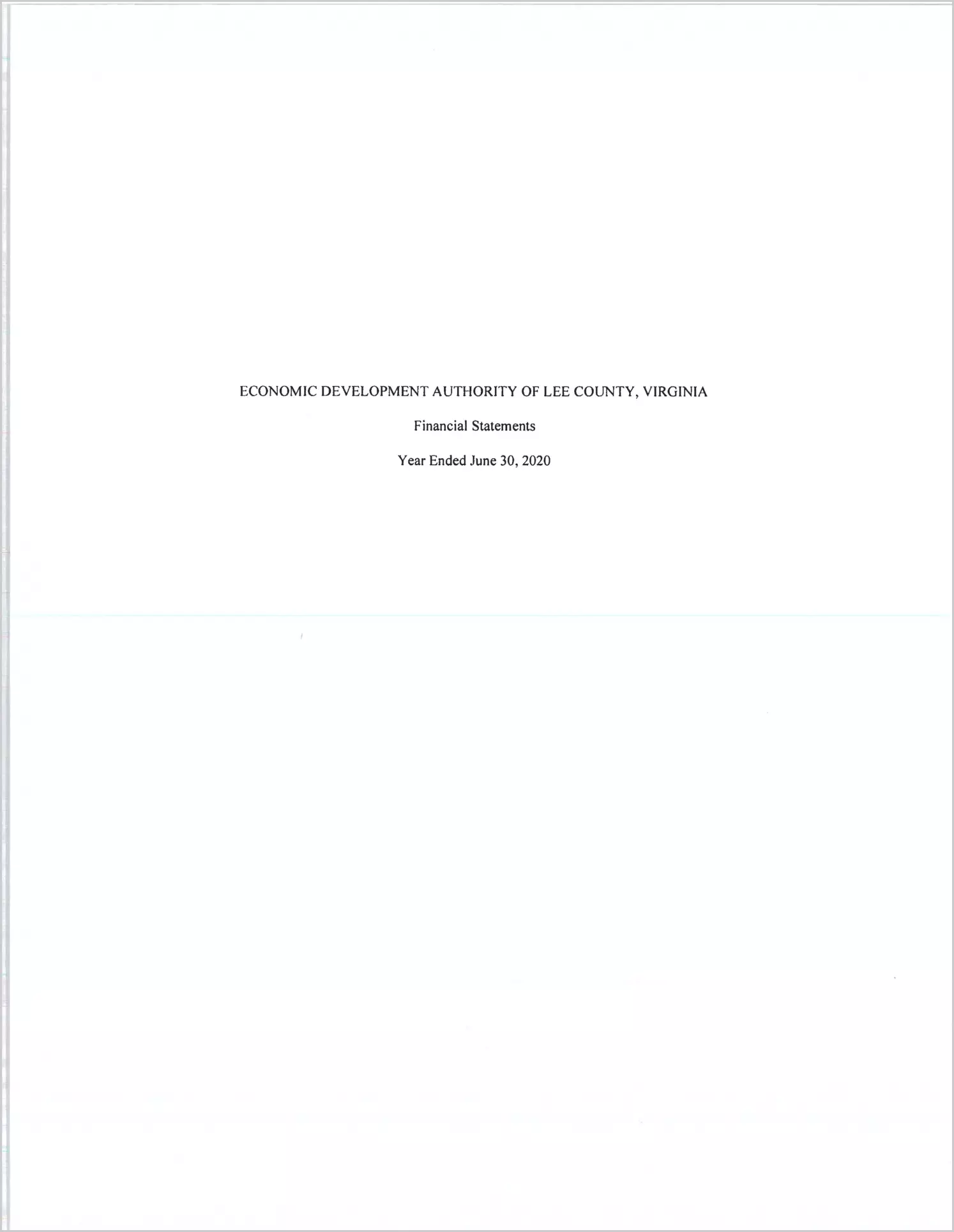 2020 ABC/Other Annual Financial Report  for Lee County Economic Development Authority