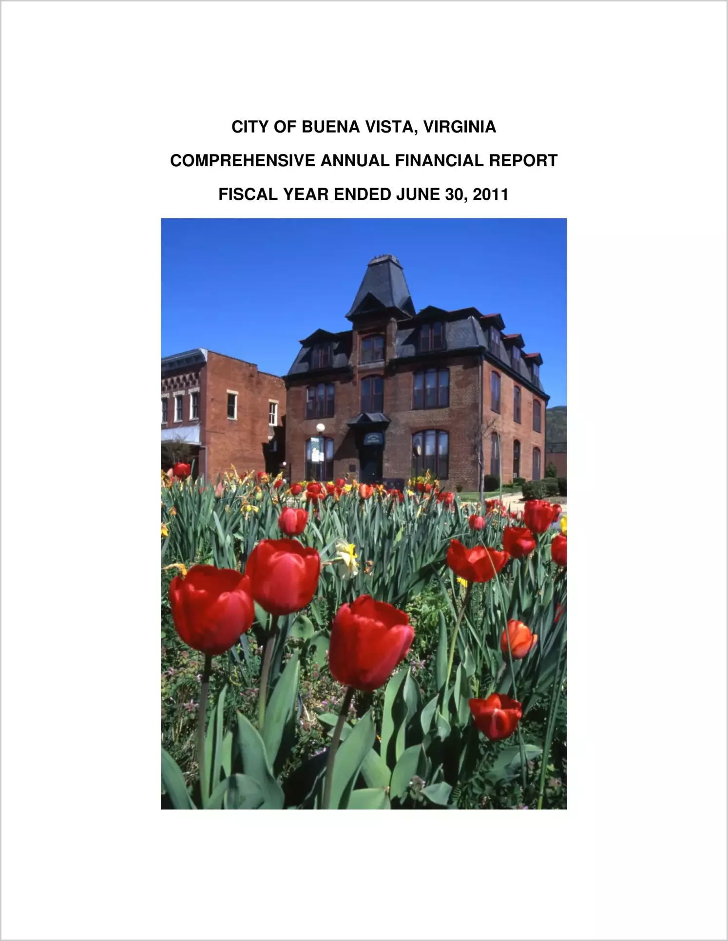 2011 Annual Financial Report for City of Buena Vista