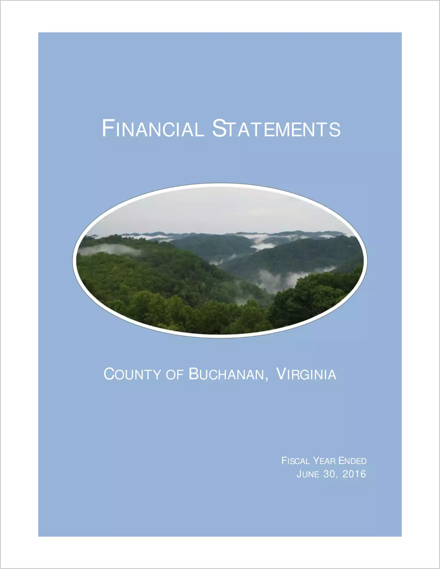 2016 Annual Financial Report for County of Buchanan