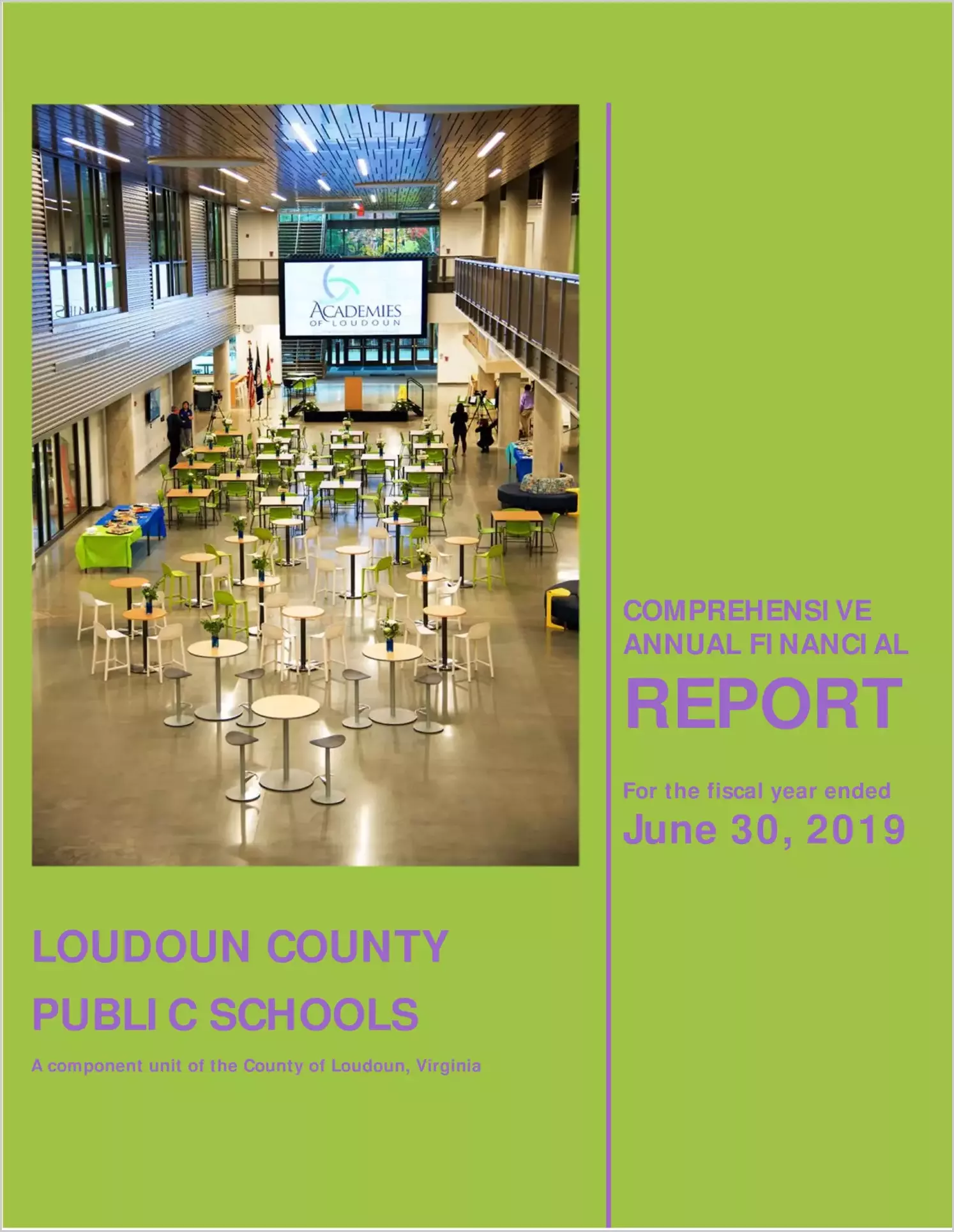 2019 Public Schools Annual Financial Report for County of Loudoun