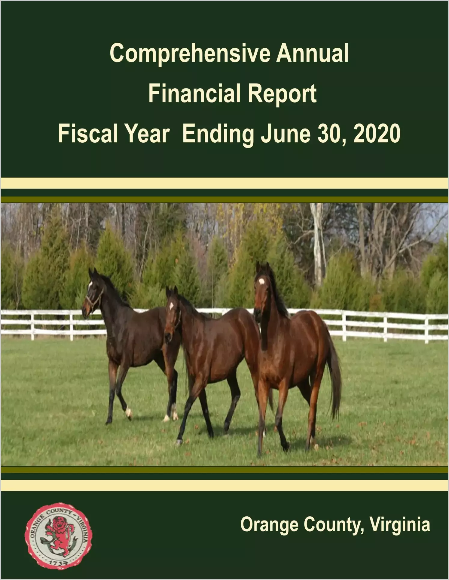 2020 Annual Financial Report for County of Orange