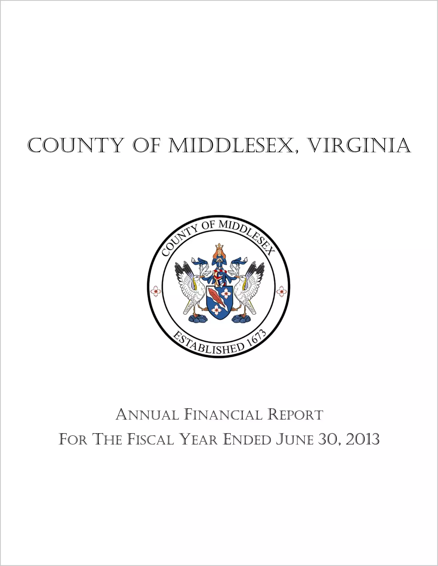 2013 Annual Financial Report for County of Middlesex