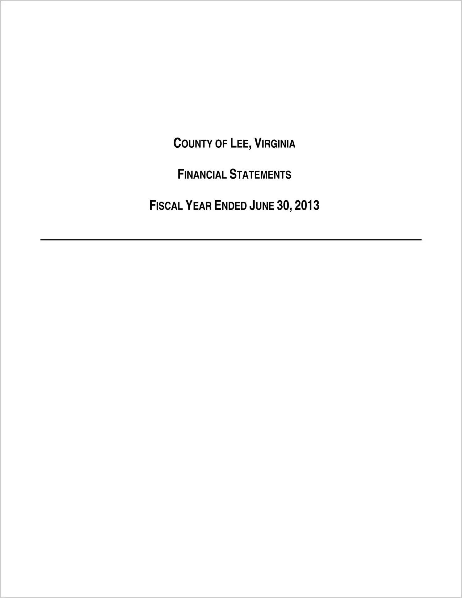 2013 Annual Financial Report for County of Lee