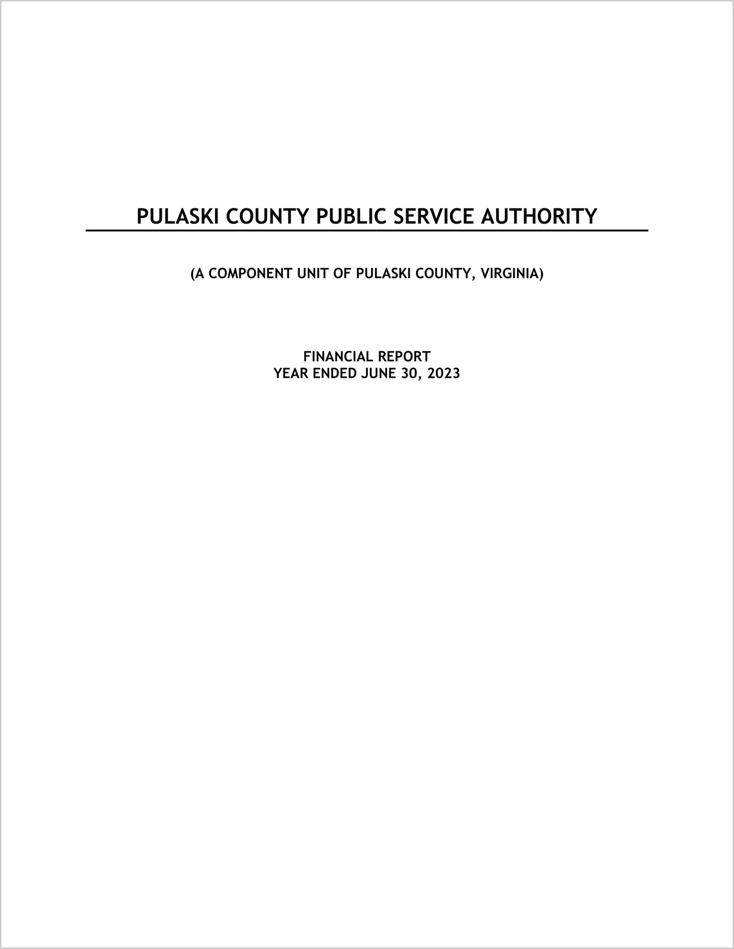 preview of 2023 ABC/Other Annual Financial Report for Pulaski County Public Service Authority