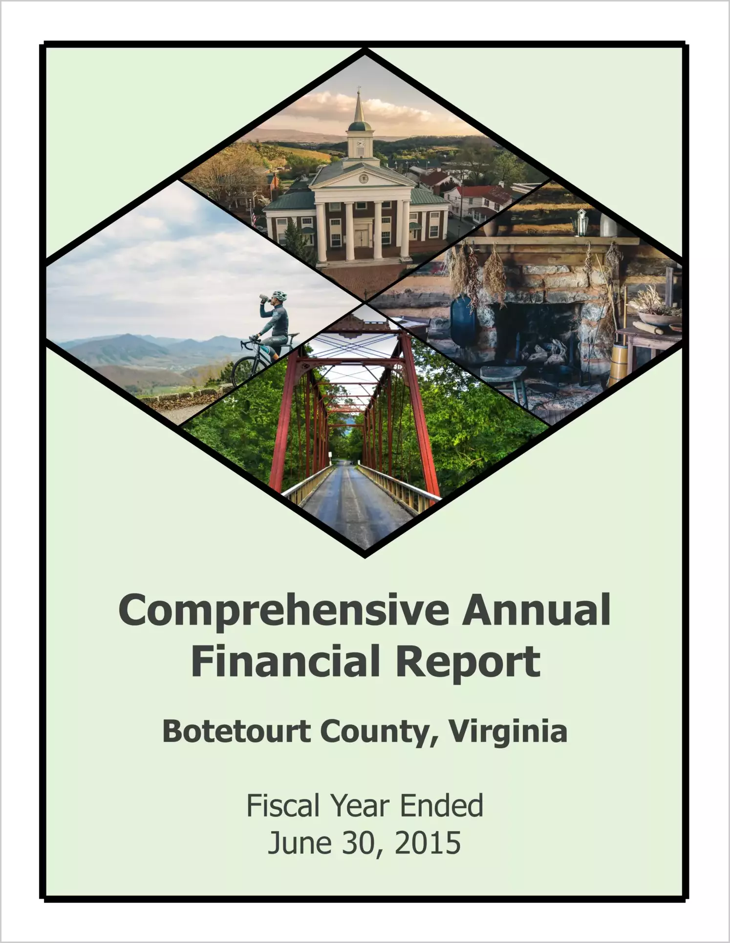 2015 Annual Financial Report for County of Botetourt