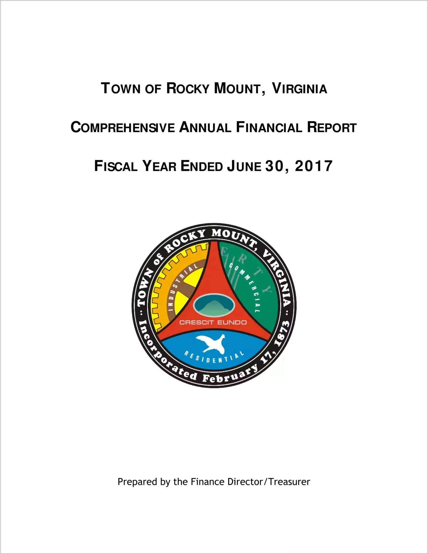 2017 Annual Financial Report for Town of Rocky Mount