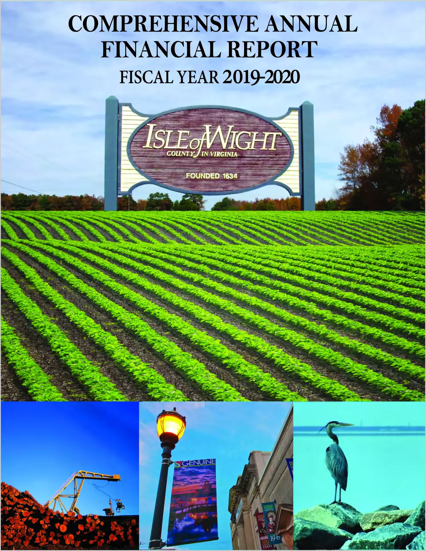 2020 Annual Financial Report for County of Isle of Wight