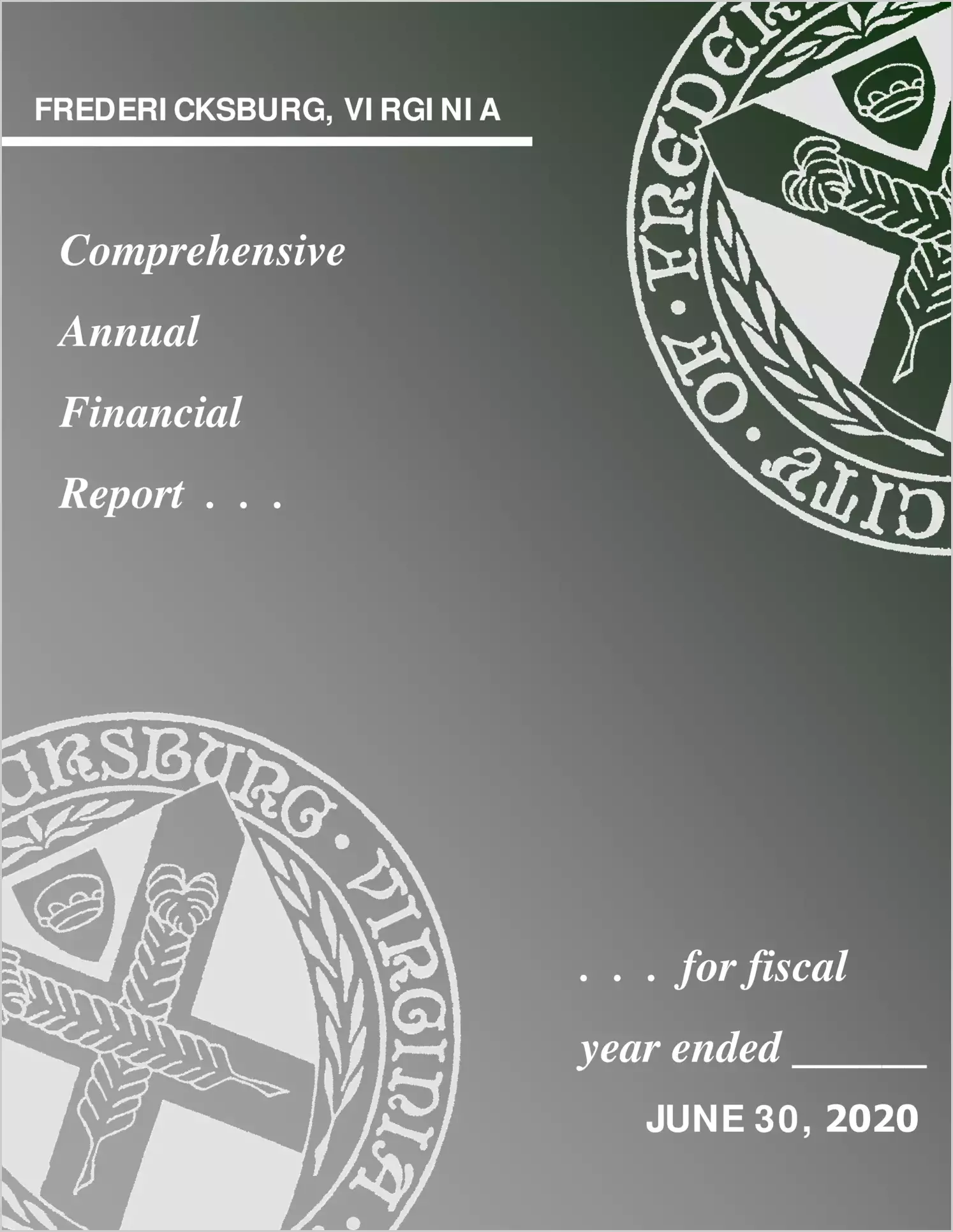 2020 Annual Financial Report for City of Fredericksburg