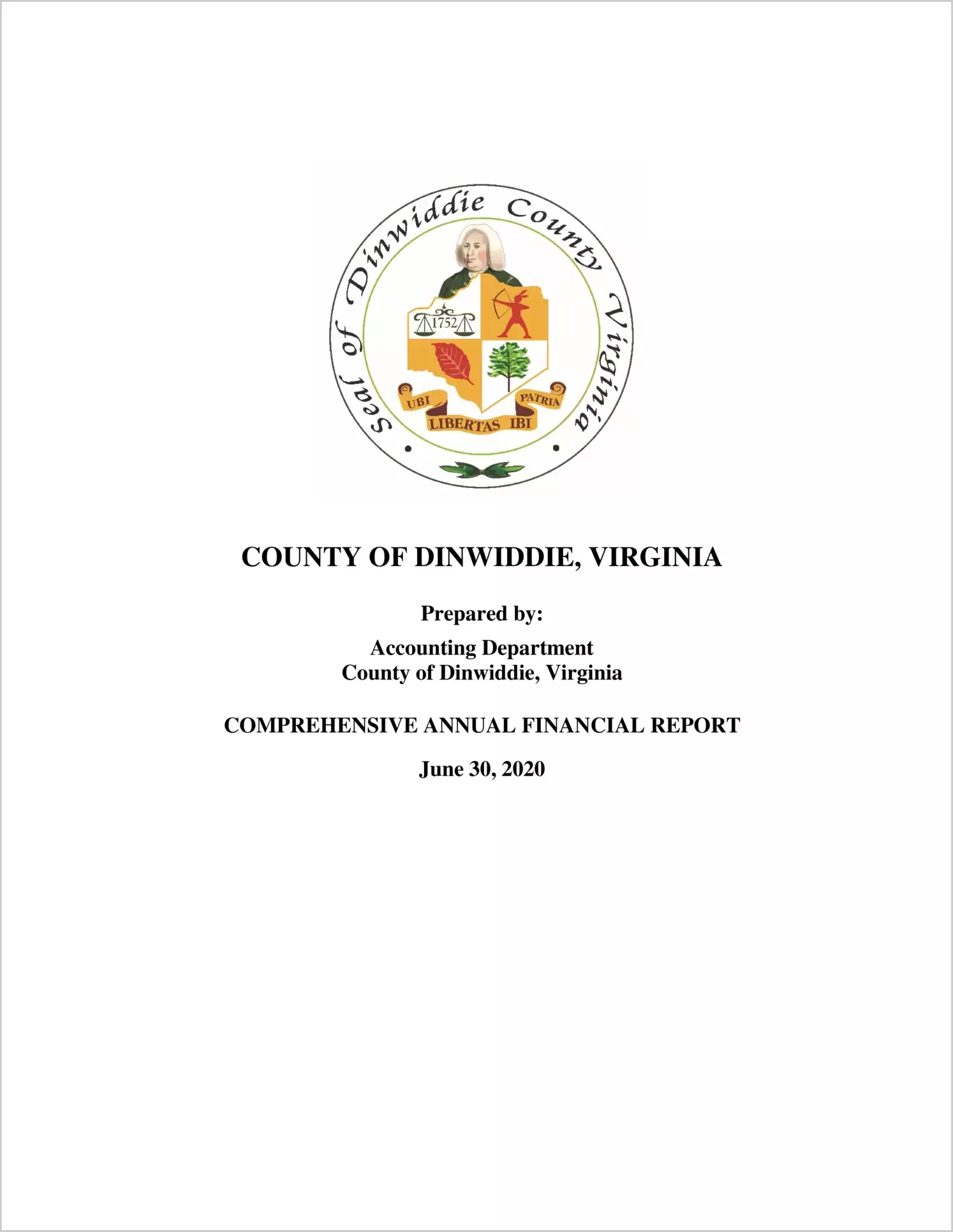 2020 Annual Financial Report for County of Dinwiddie