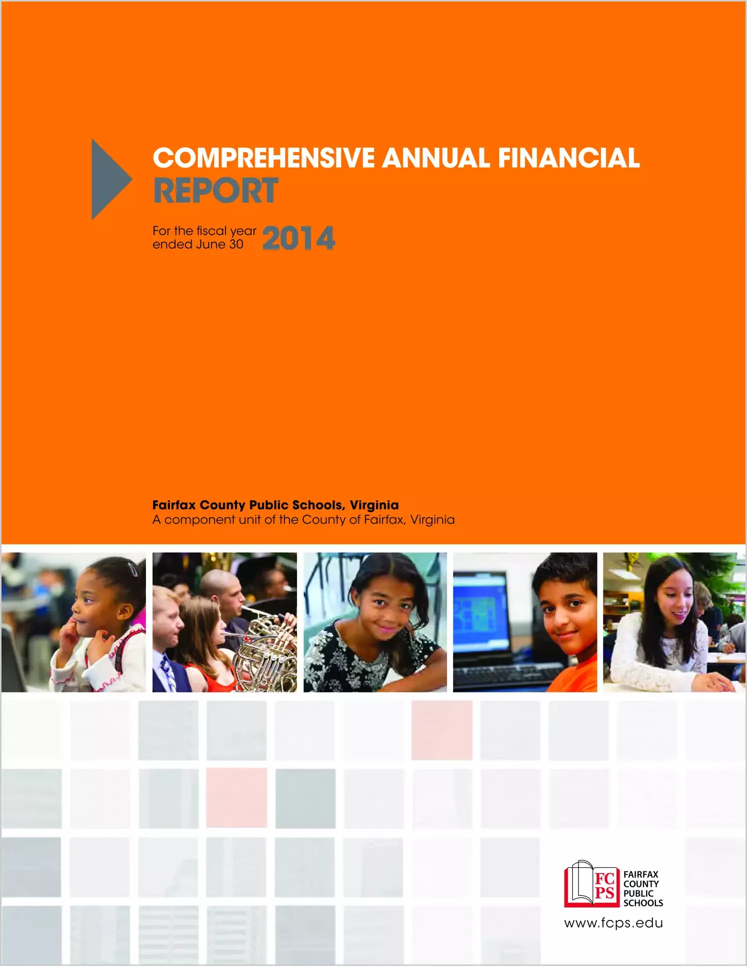 2014 Public Schools Annual Financial Report for County of Fairfax
