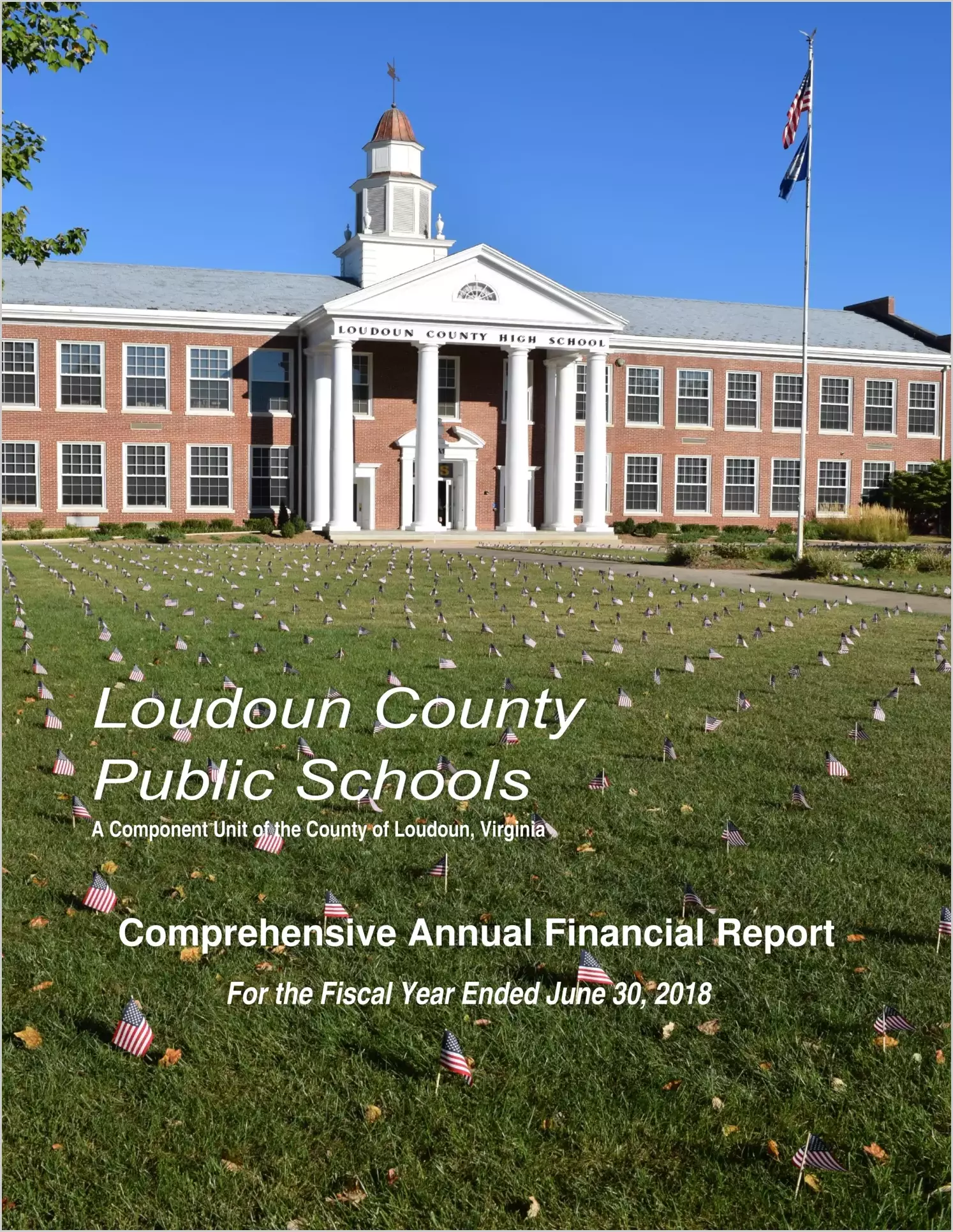 2018 Public Schools Annual Financial Report for County of Loudoun