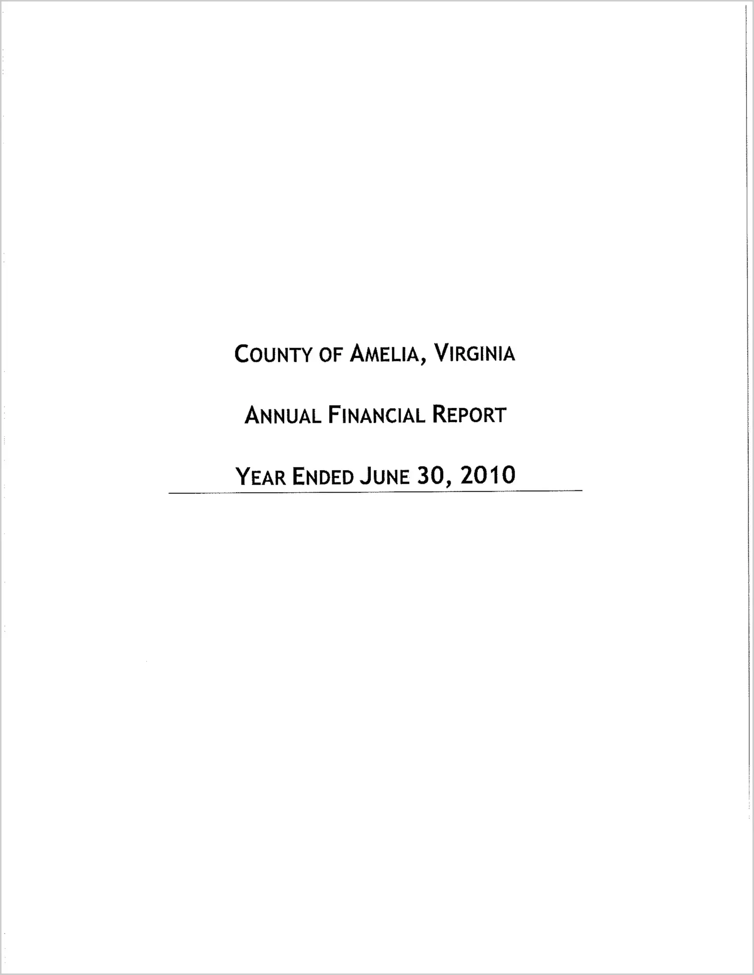 2010 Annual Financial Report for County of Amelia