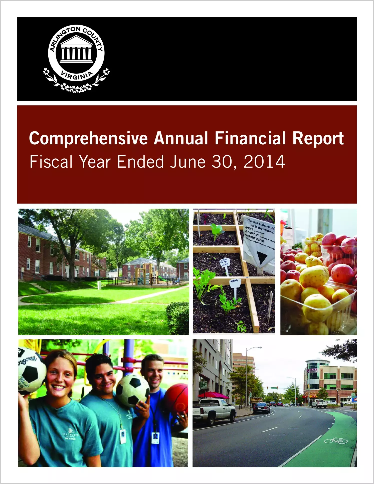 2014 Annual Financial Report for County of Arlington