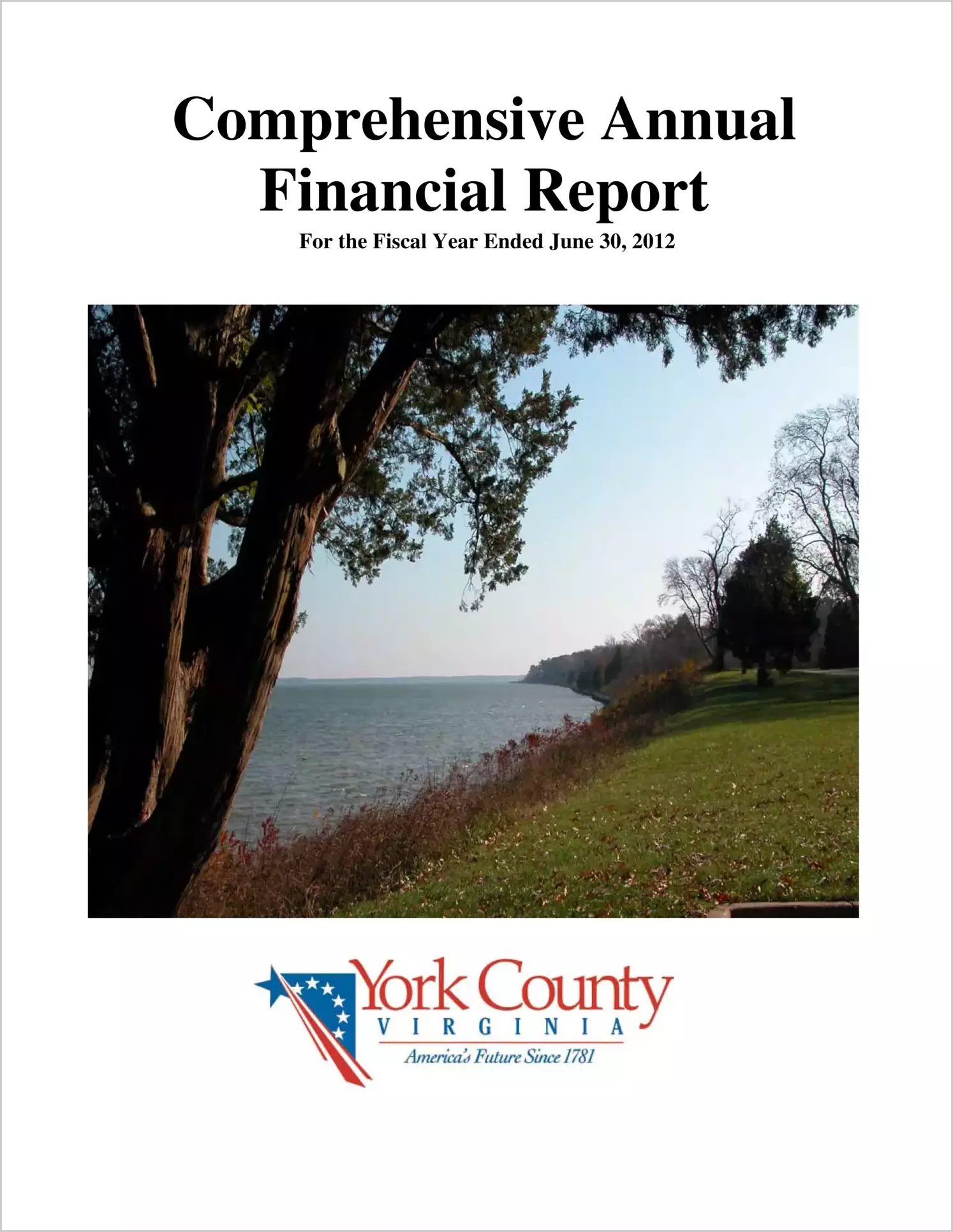 2012 Annual Financial Report for County of York
