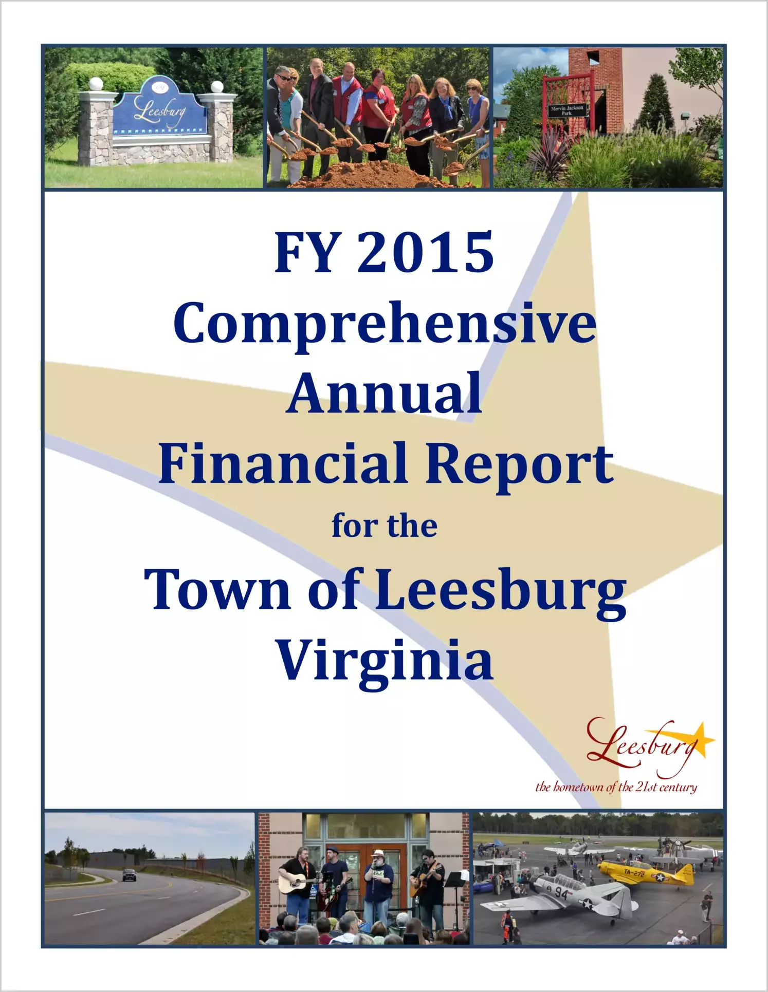 2015 Annual Financial Report for Town of Leesburg
