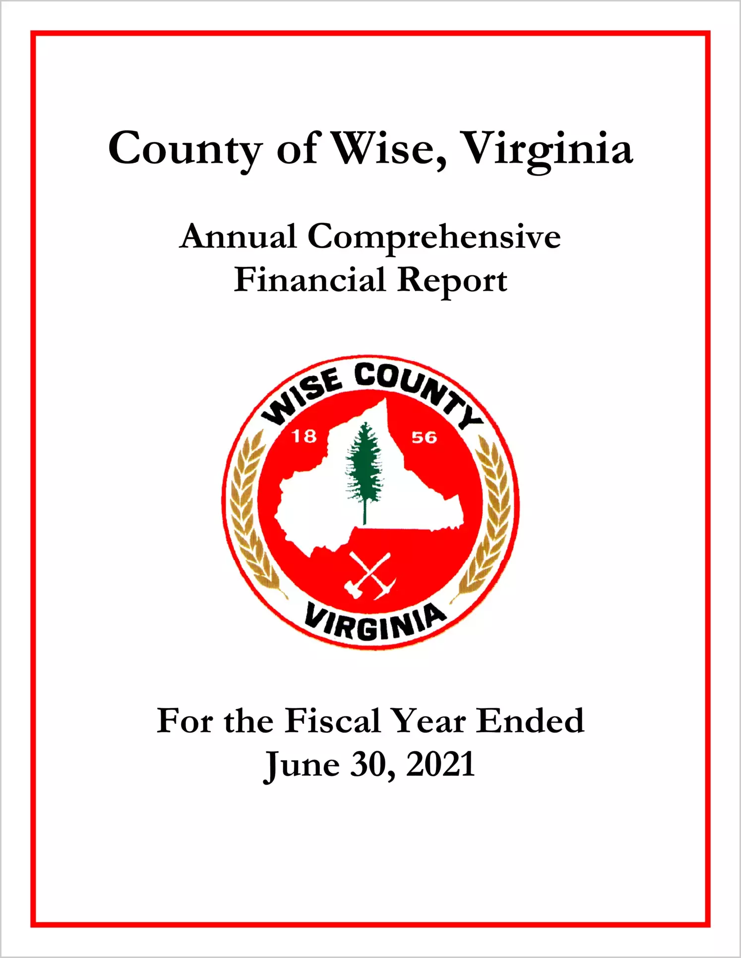 2021 Annual Financial Report for County of Wise