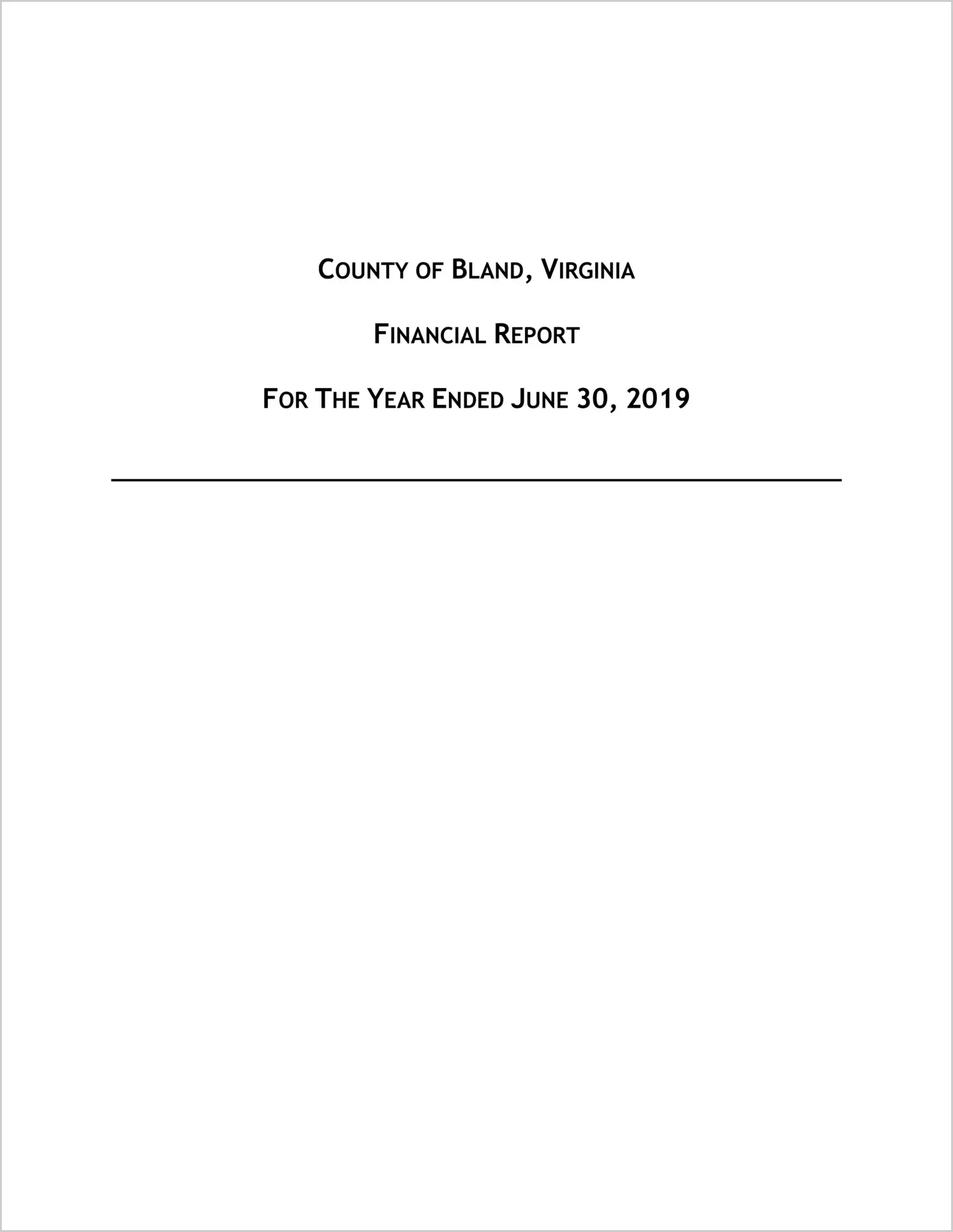 2019 Annual Financial Report for County of Bland
