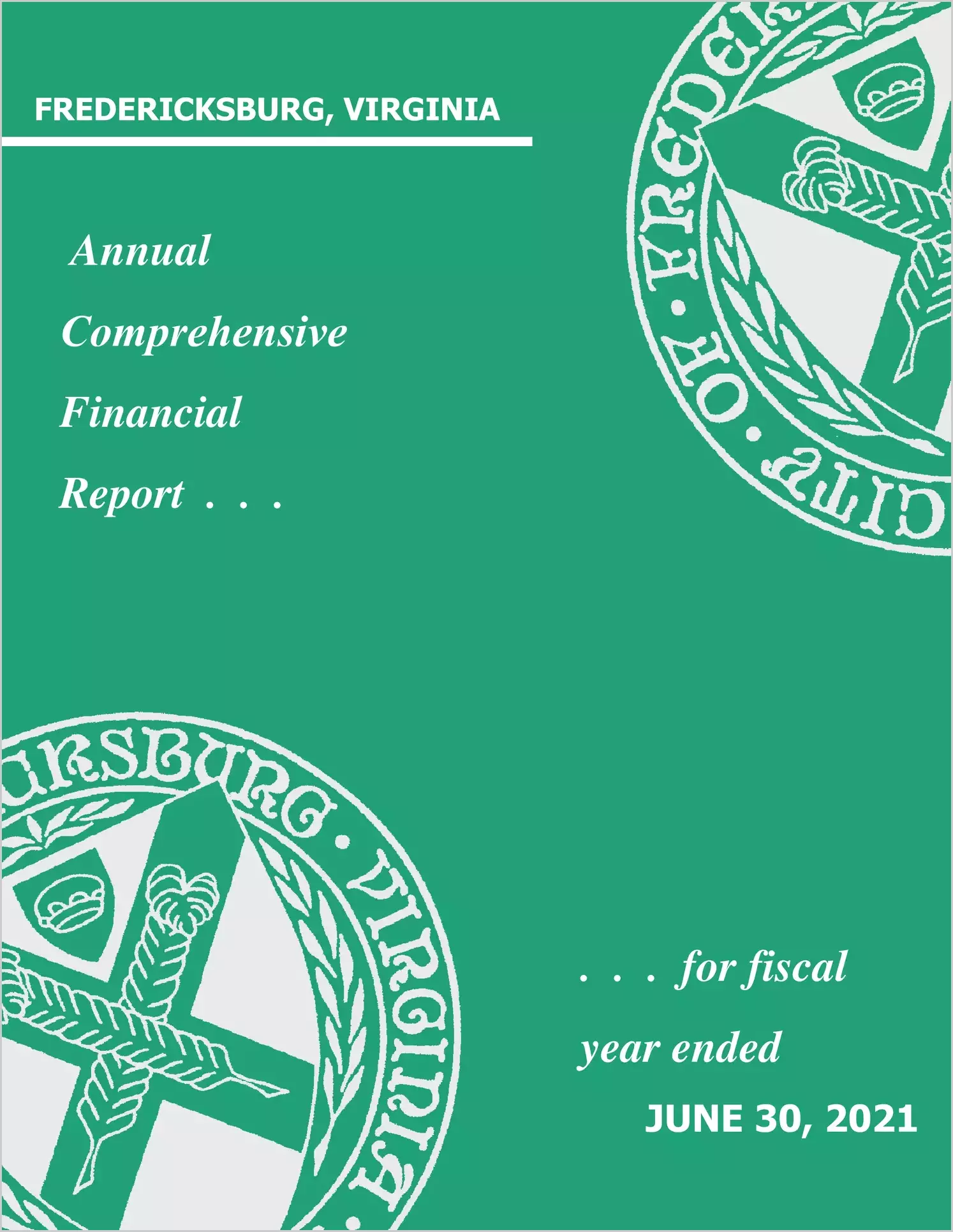 2021 Annual Financial Report for City of Fredericksburg