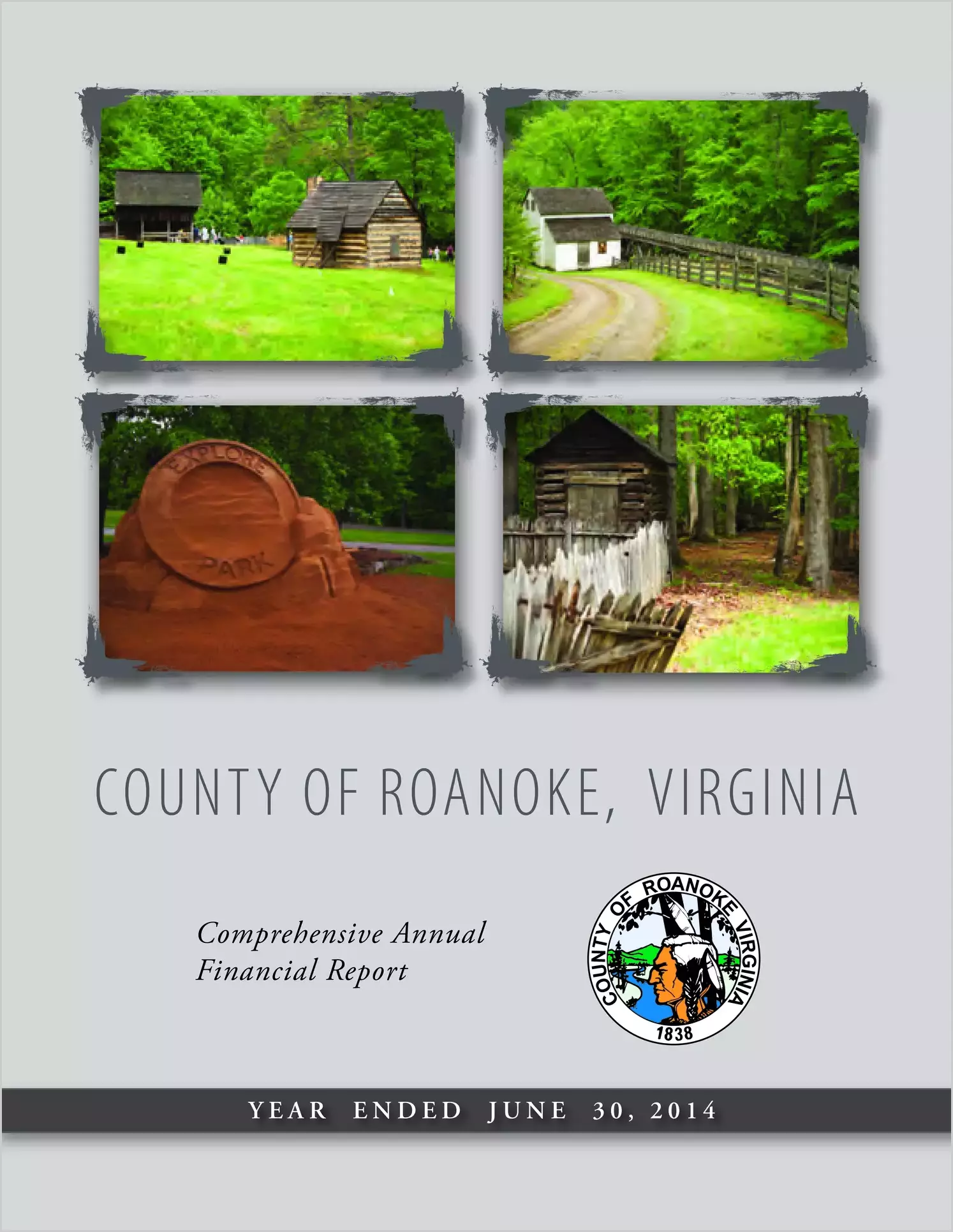 2014 Annual Financial Report for County of Roanoke